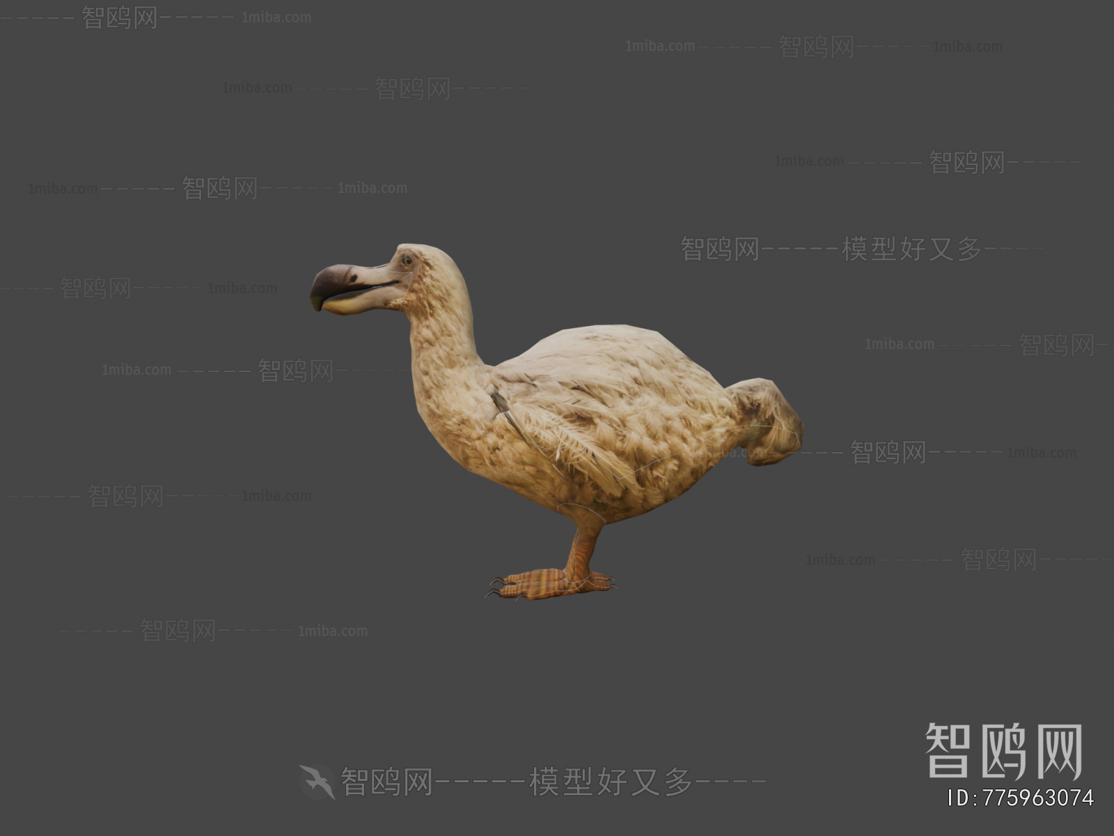Modern Flying Animals