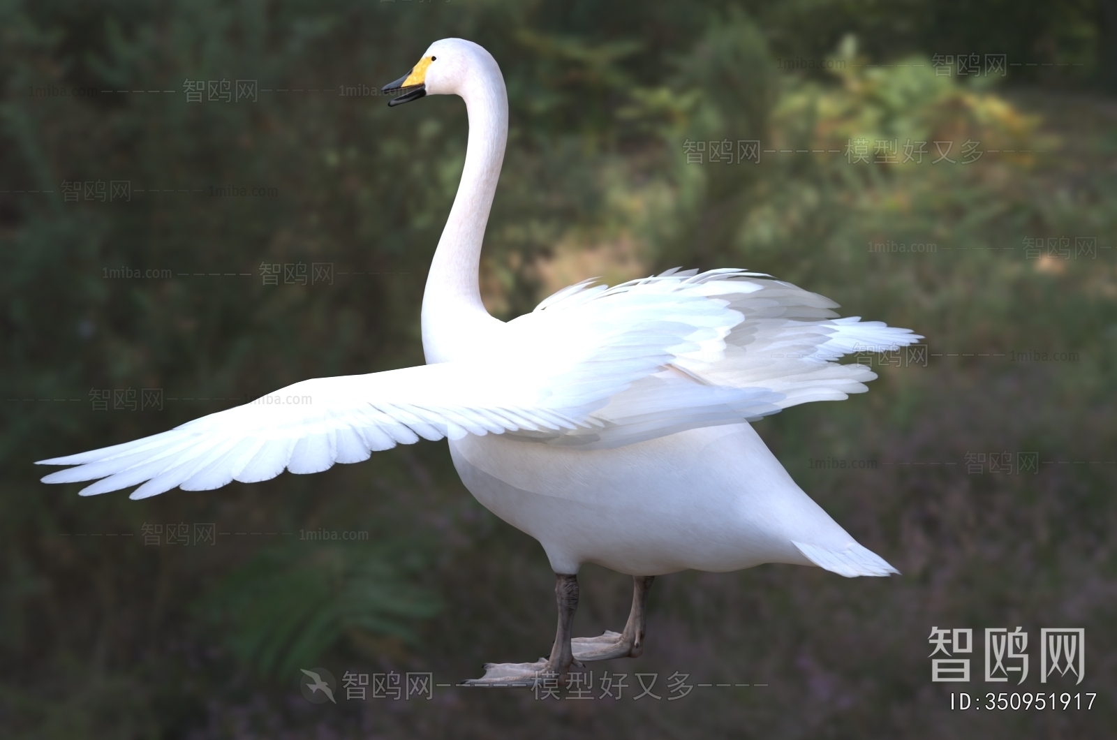 Modern Flying Animals