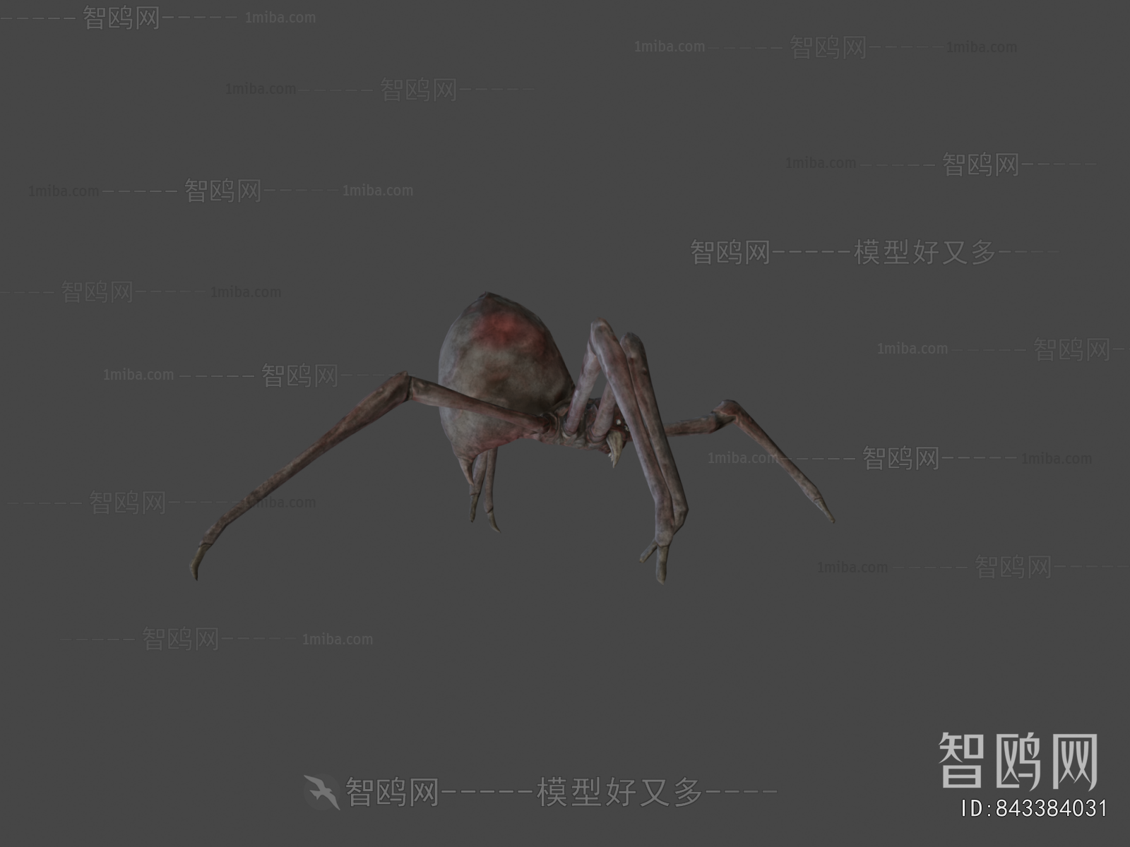 Modern Animal