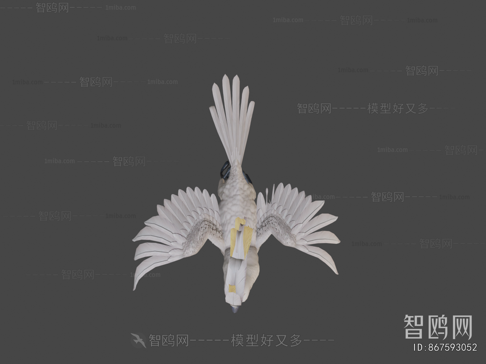 Modern Flying Animals