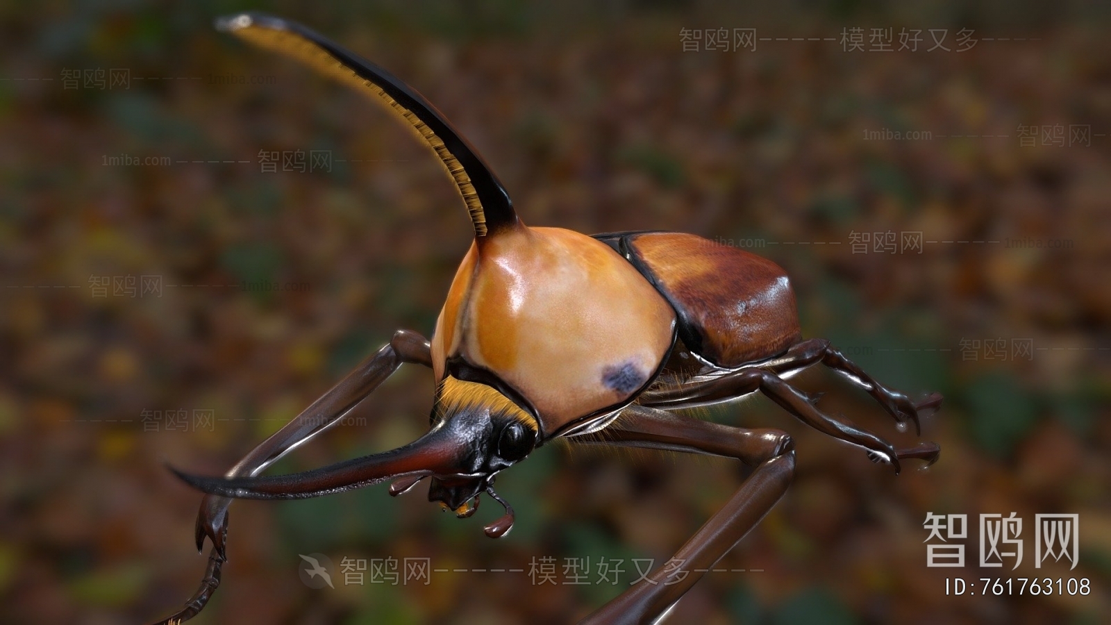 Modern Animal