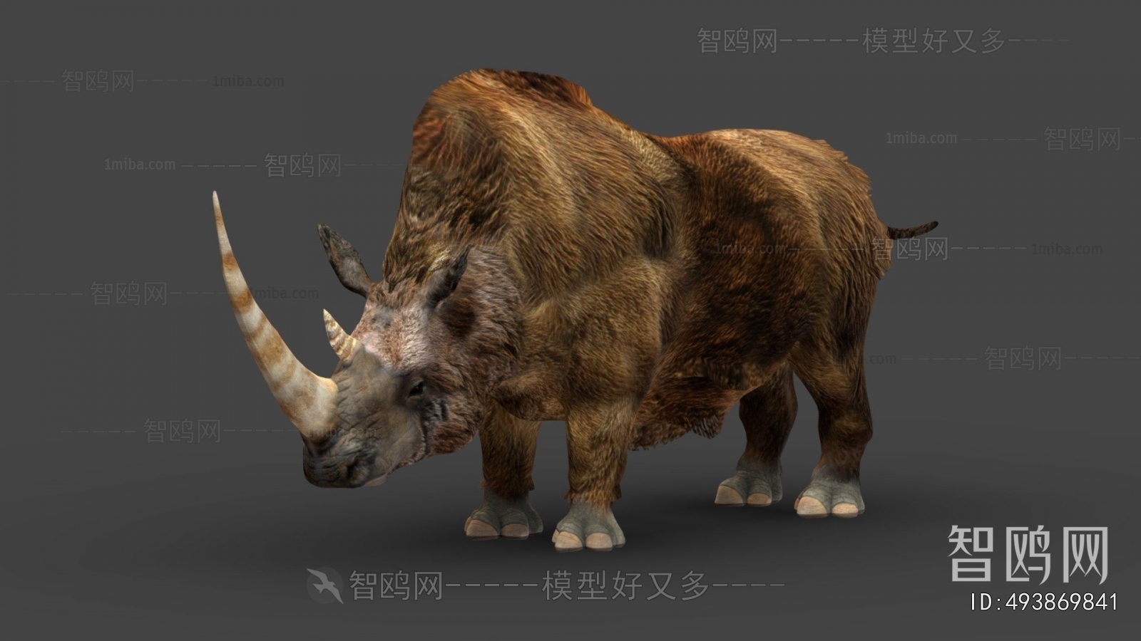 Modern Mammal