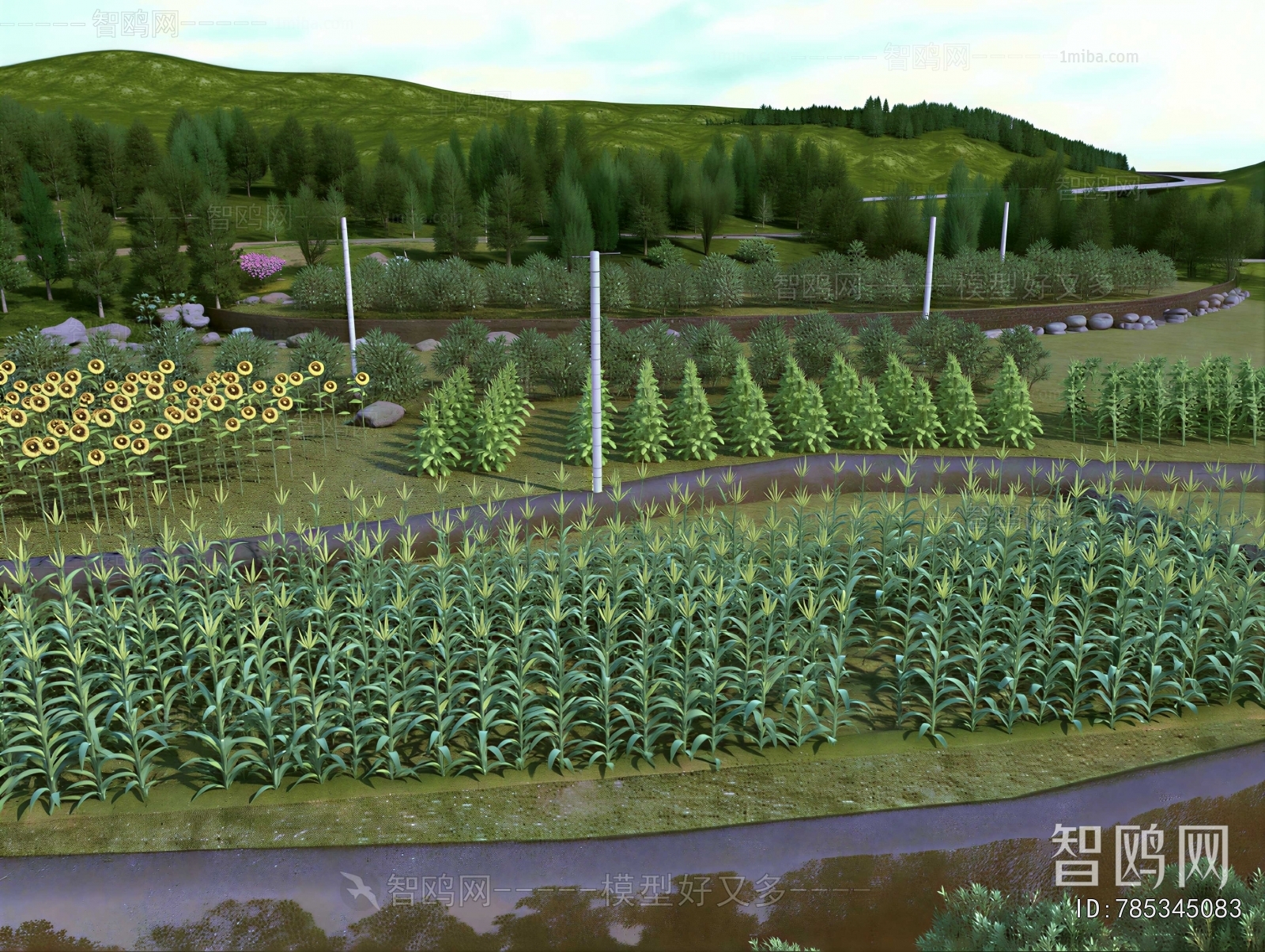 Modern Crop