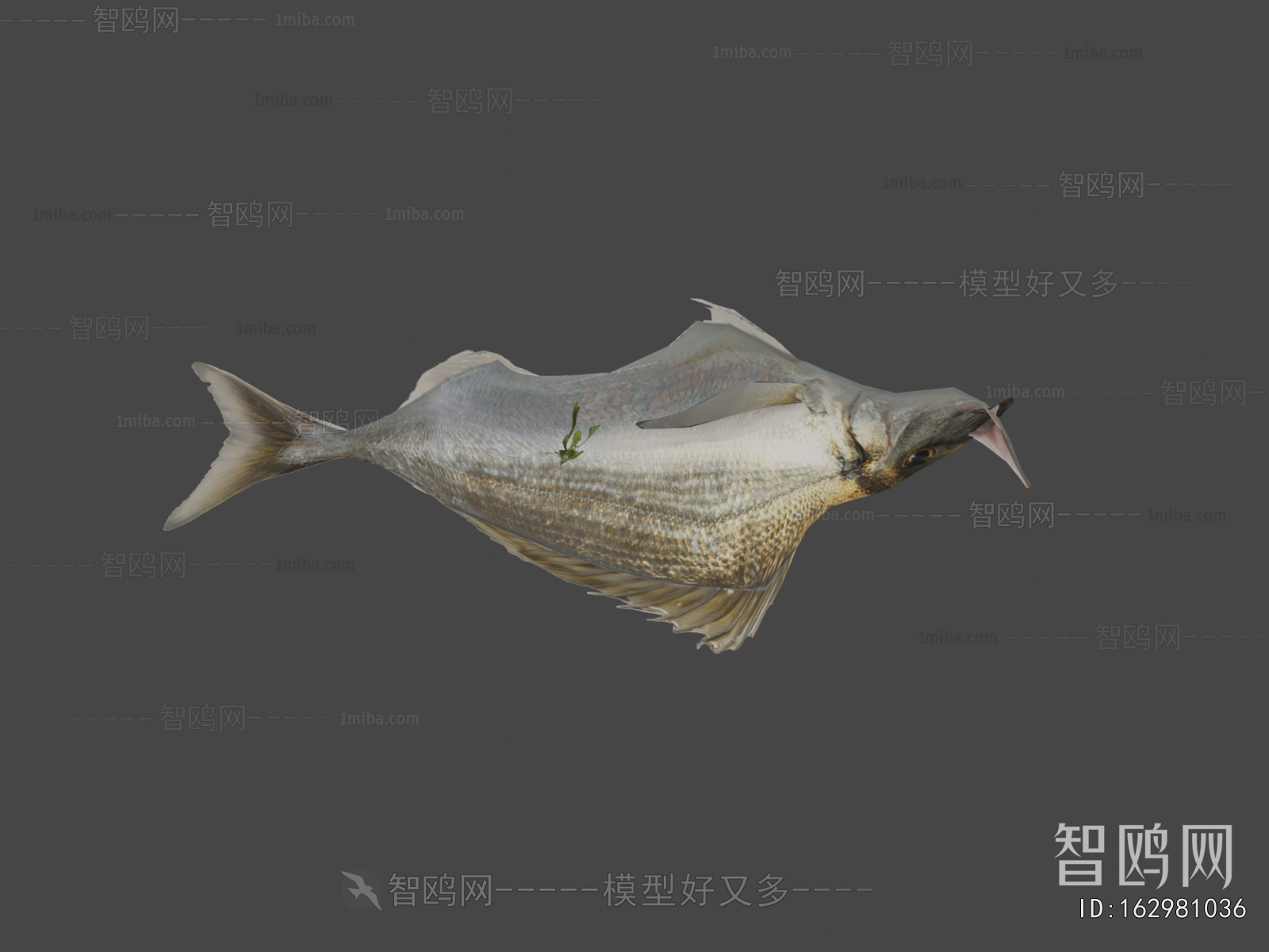 Modern Animal