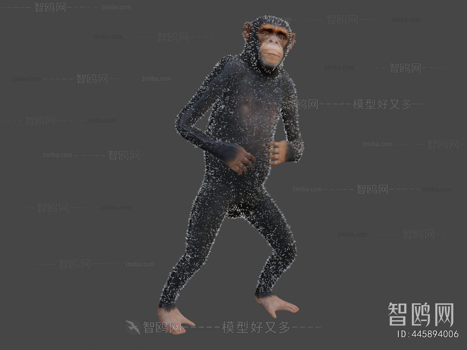 Modern Animal