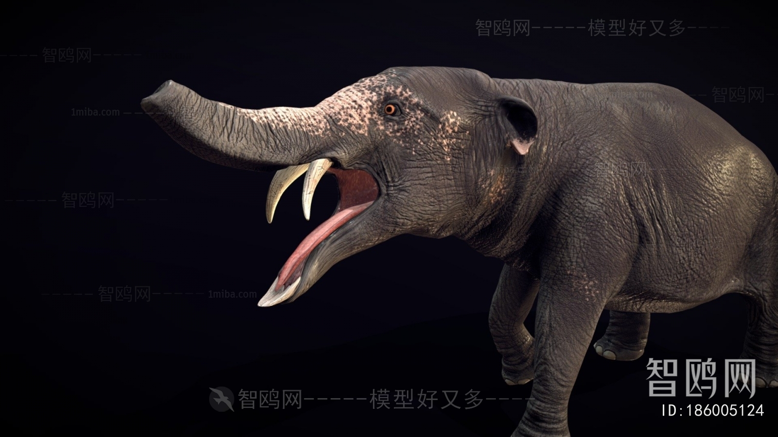 Modern Mammal