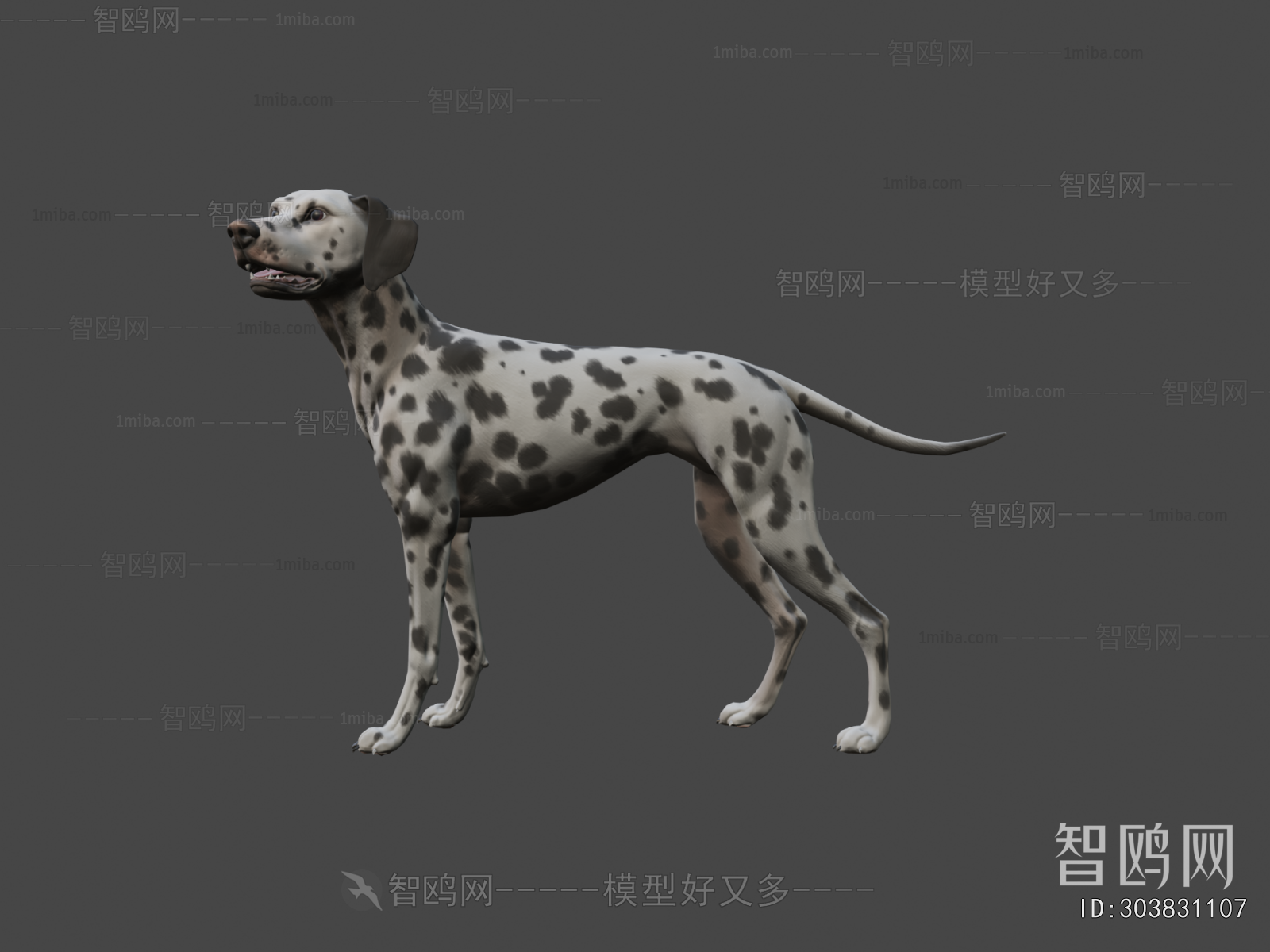 Modern Animal Dog