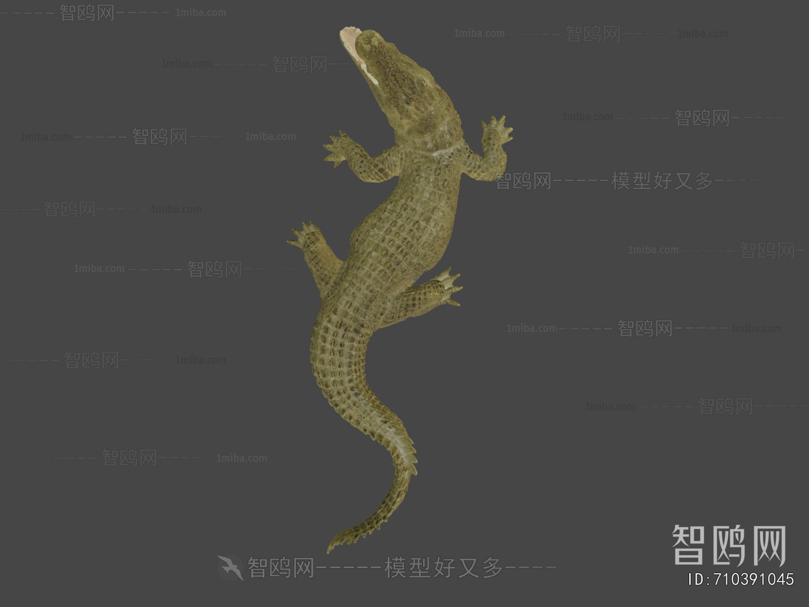 Modern Aquatic Animals