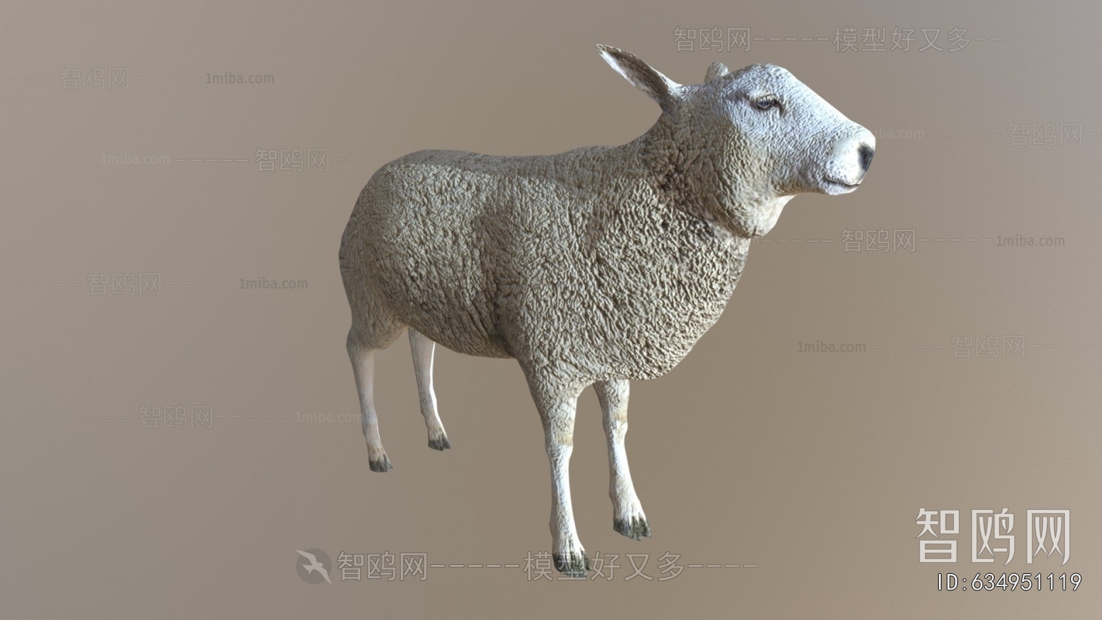 Modern Animal