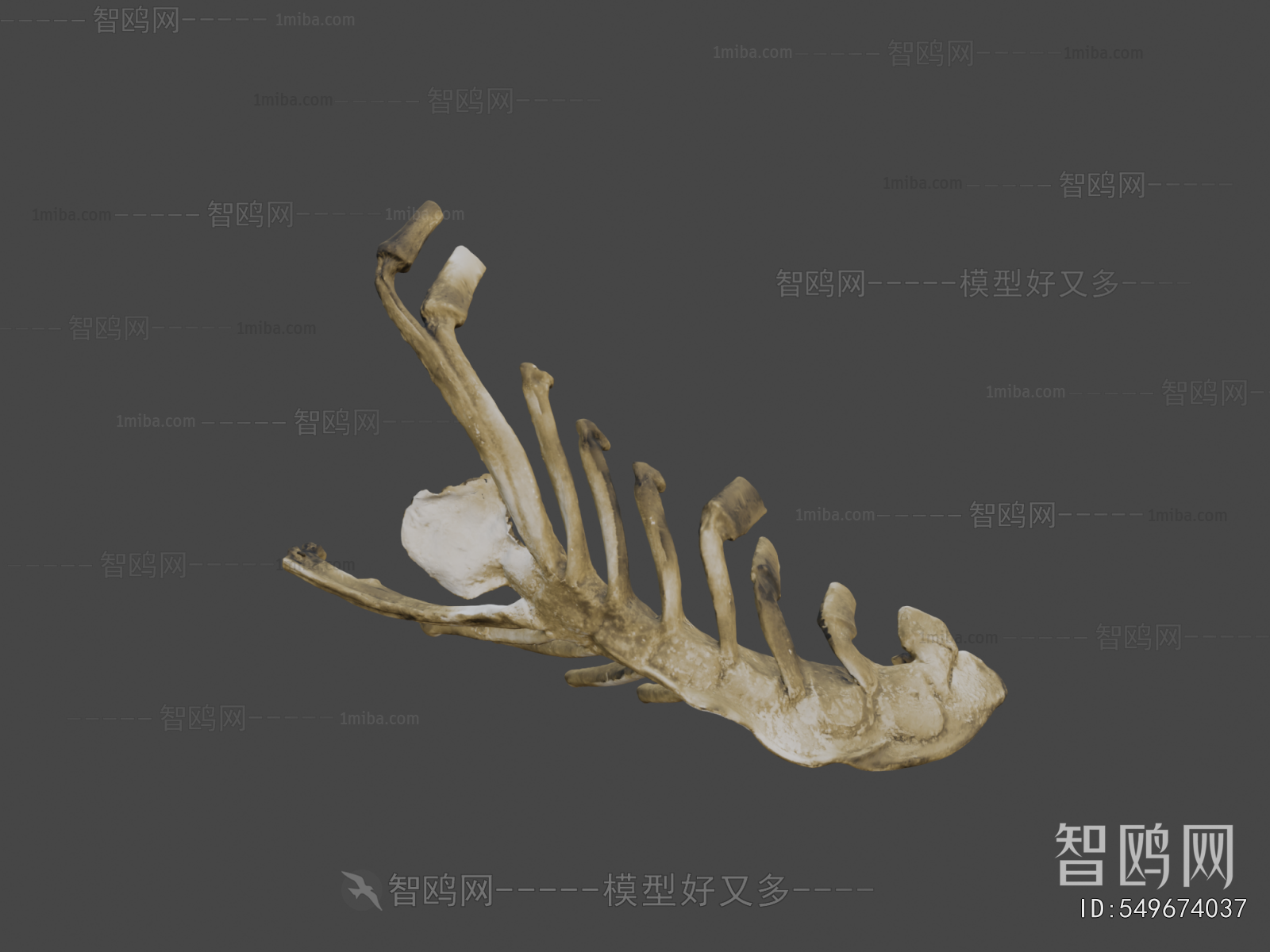 Modern Medical Equipment