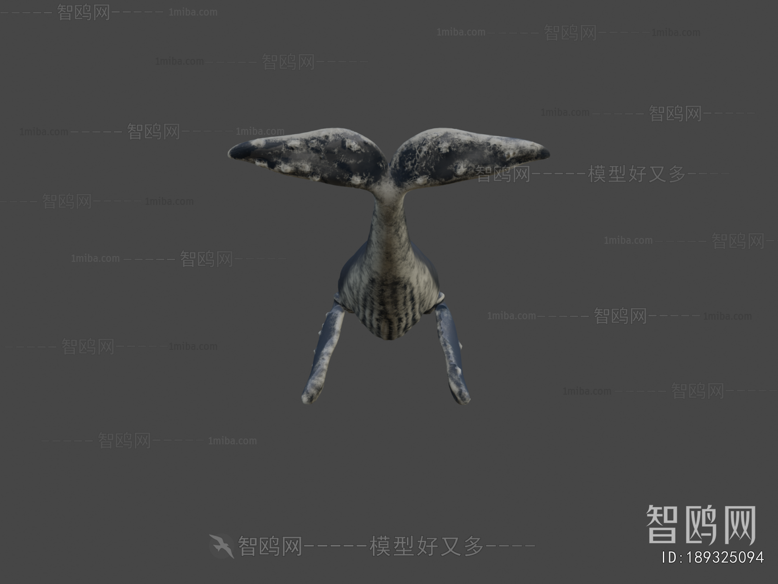 Modern Aquatic Animals
