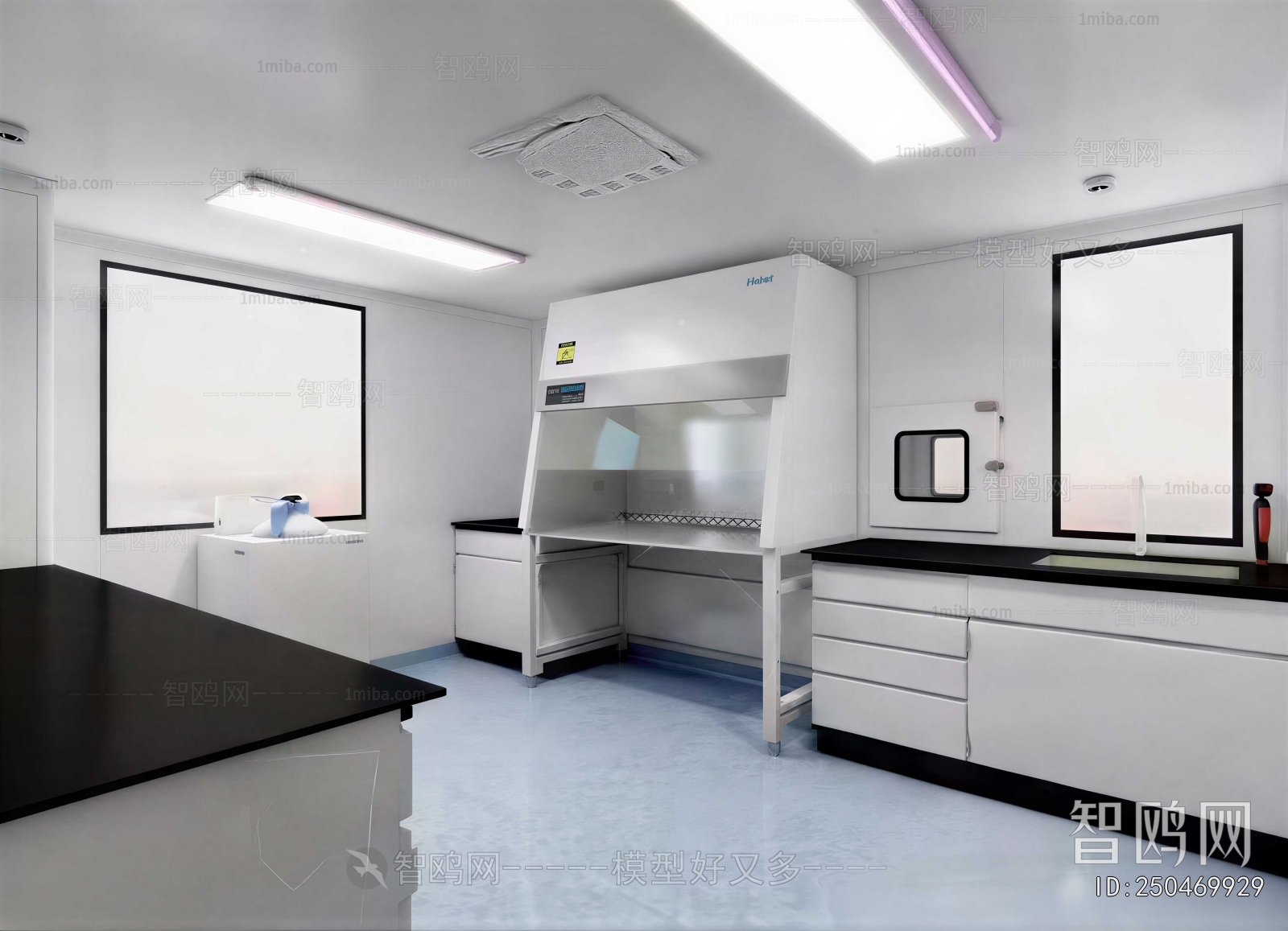 Modern Laboratory