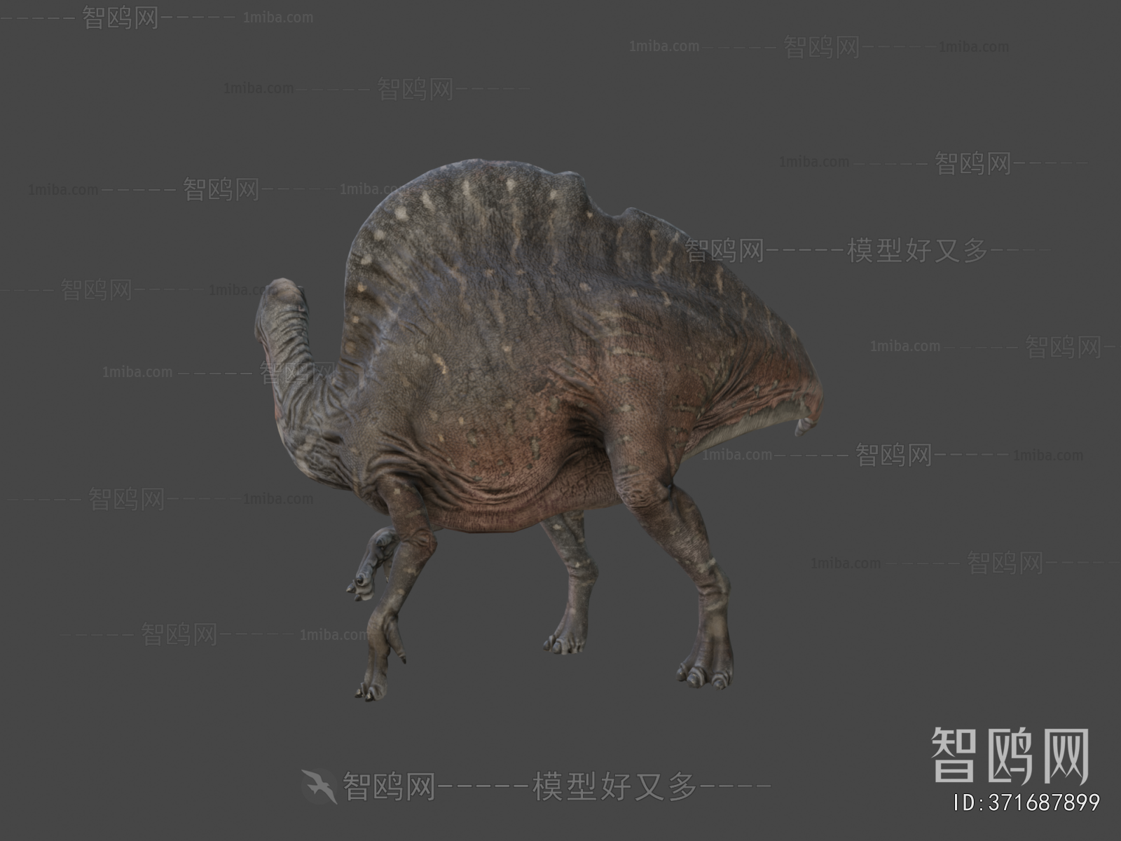 Modern Other Animals