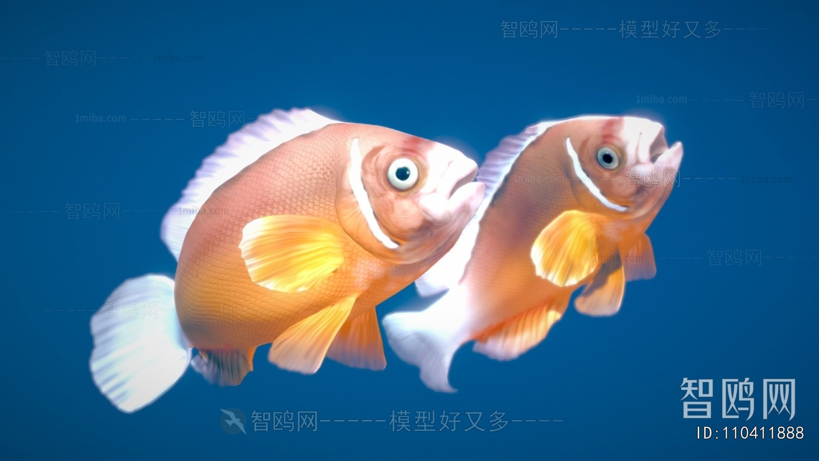 Modern Aquatic Animals