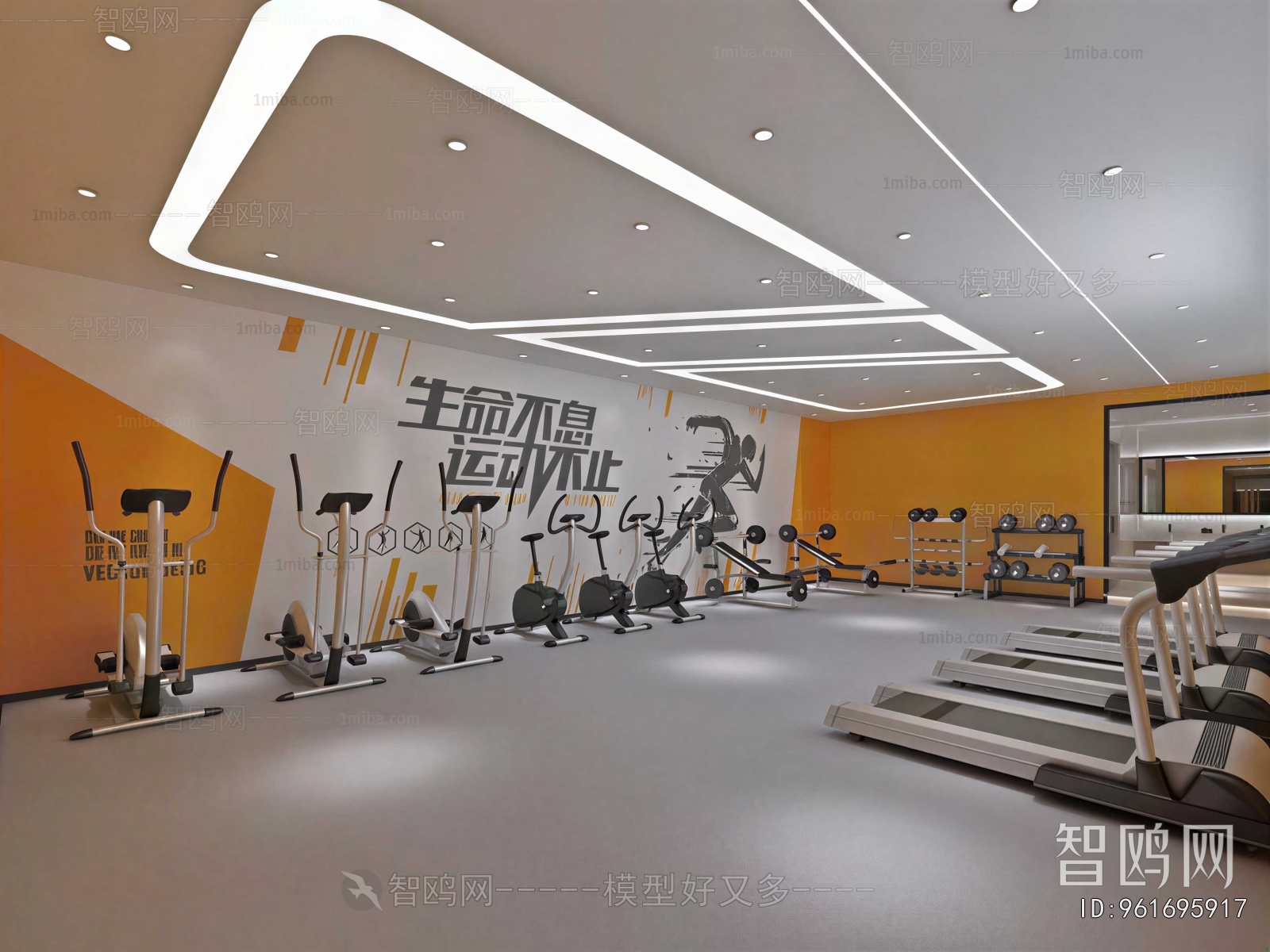 Modern Gym