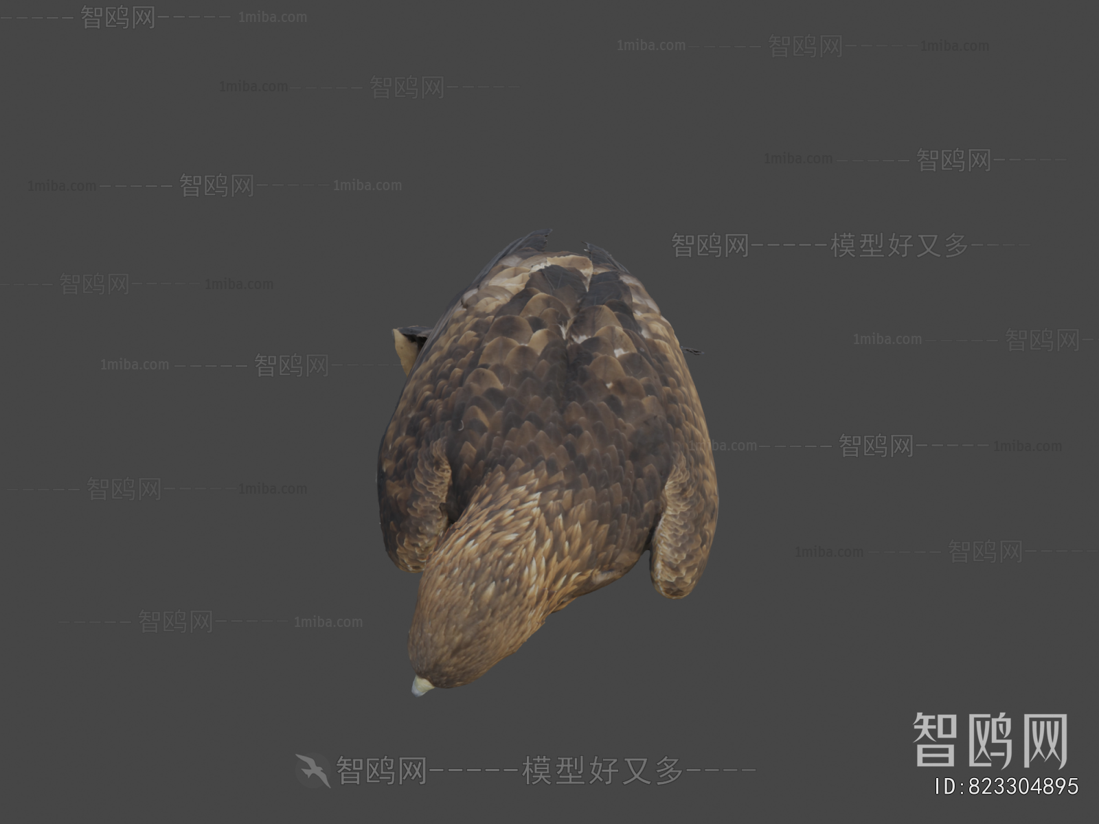 Modern Animal