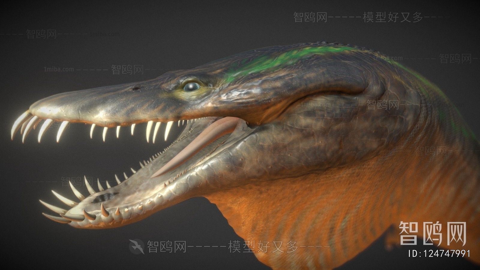 Modern Aquatic Animals