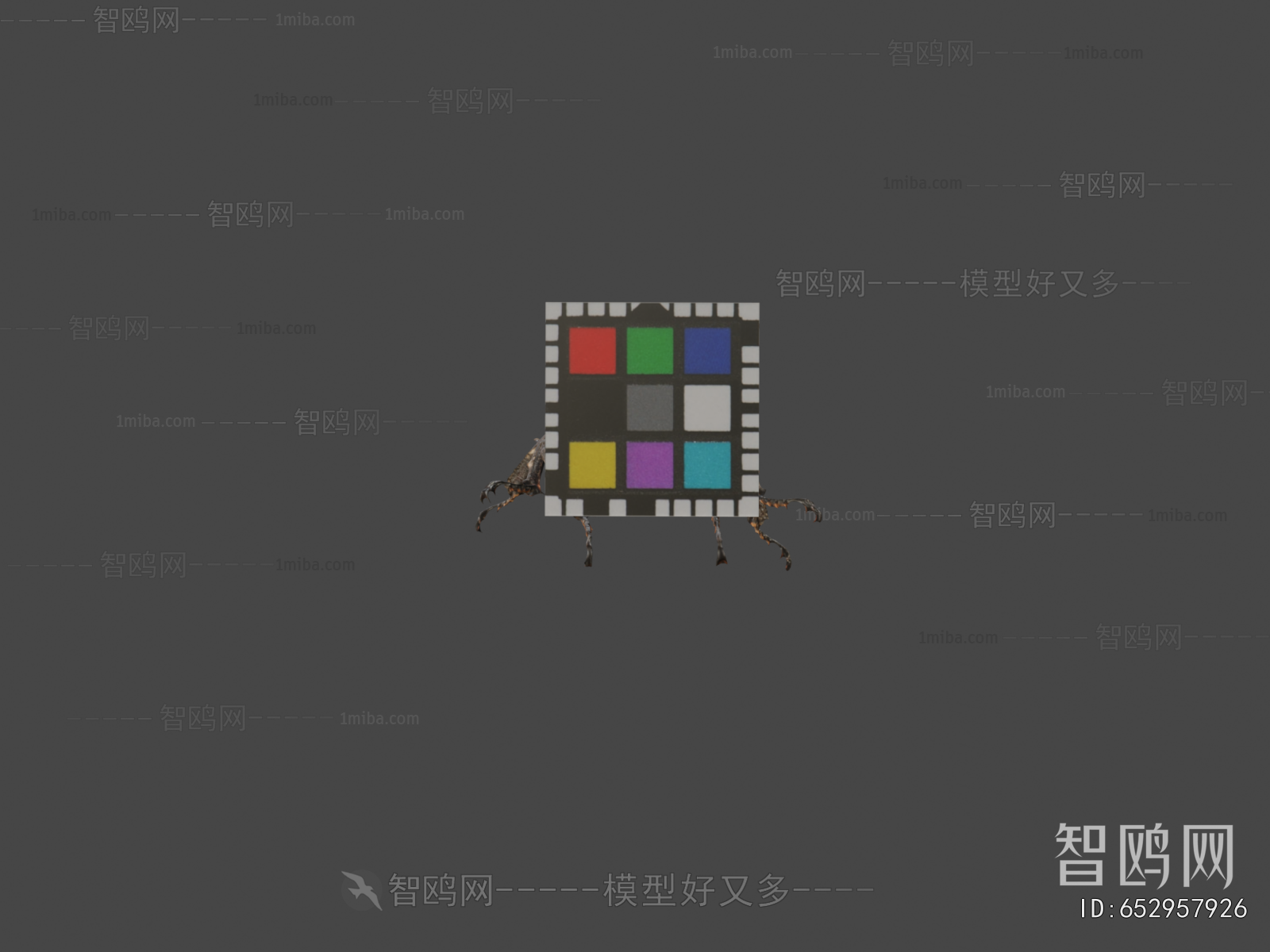 Modern Animal
