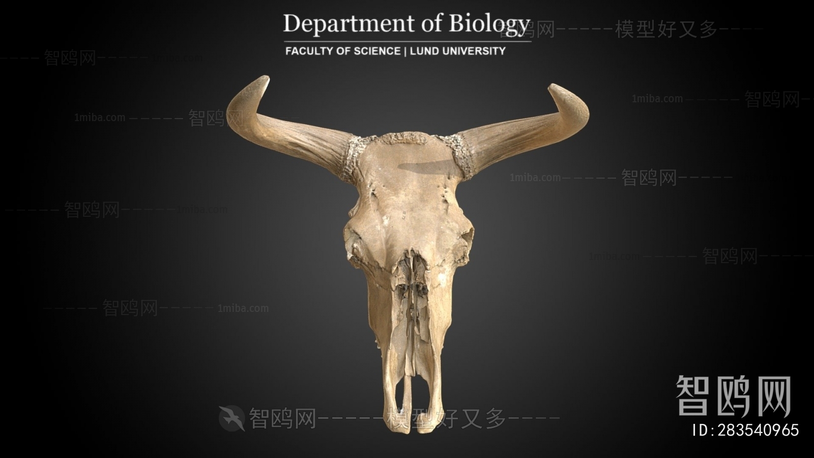 Modern Medical Equipment