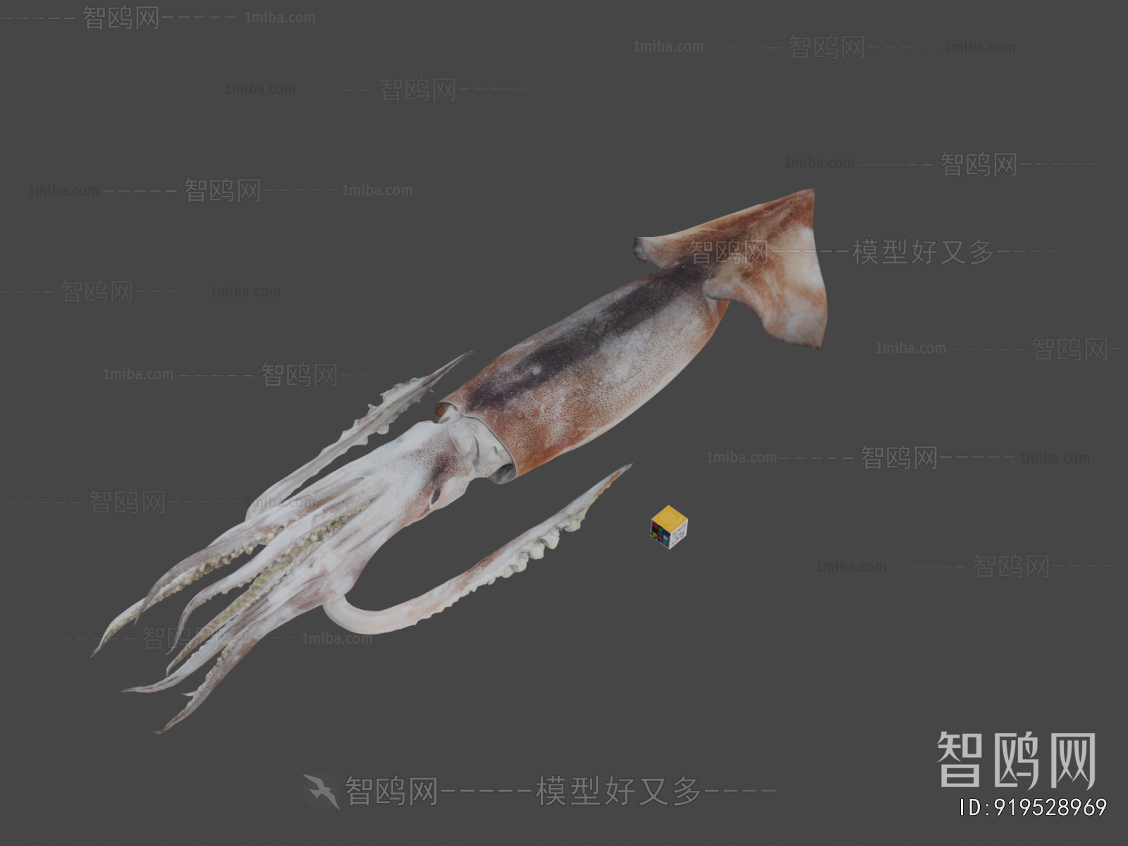 Modern Aquatic Animals