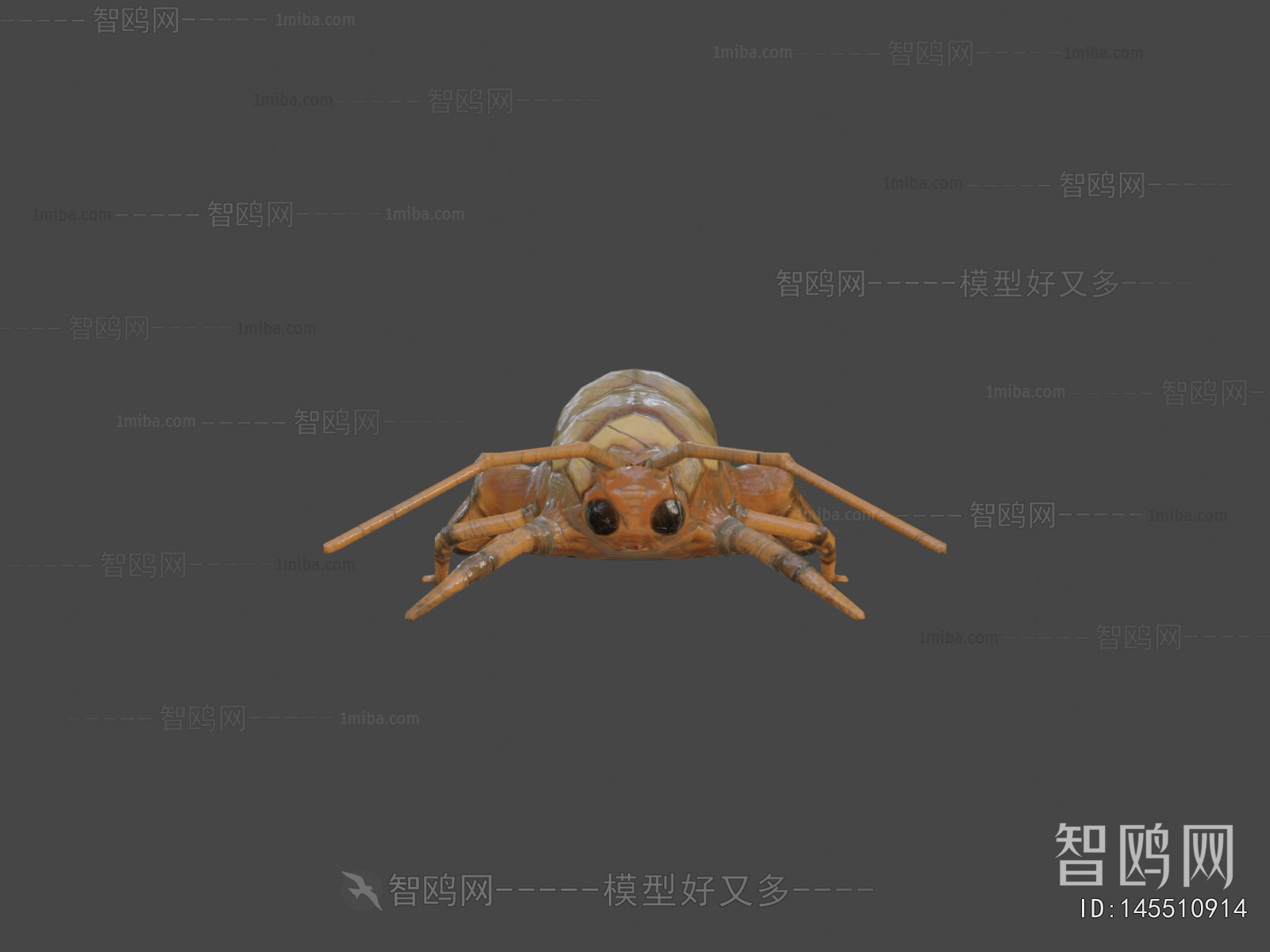 Modern Animal