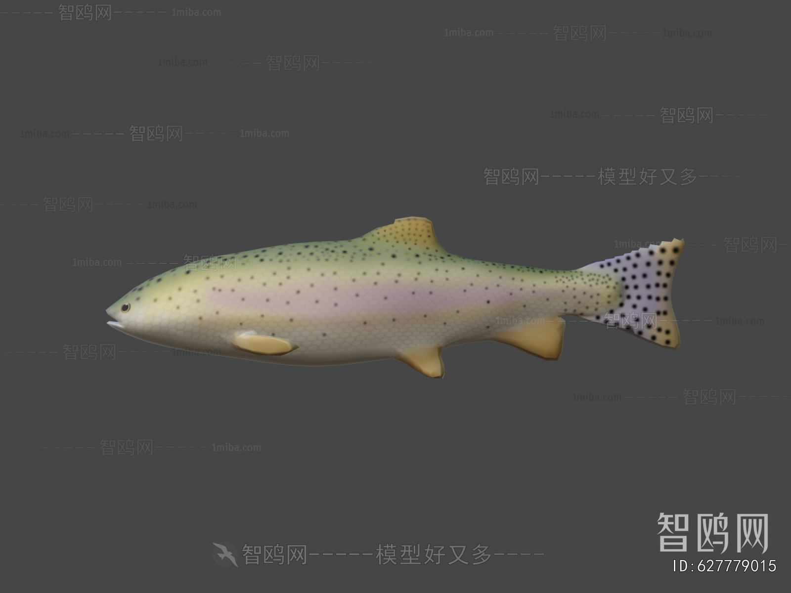 Modern Aquatic Animals