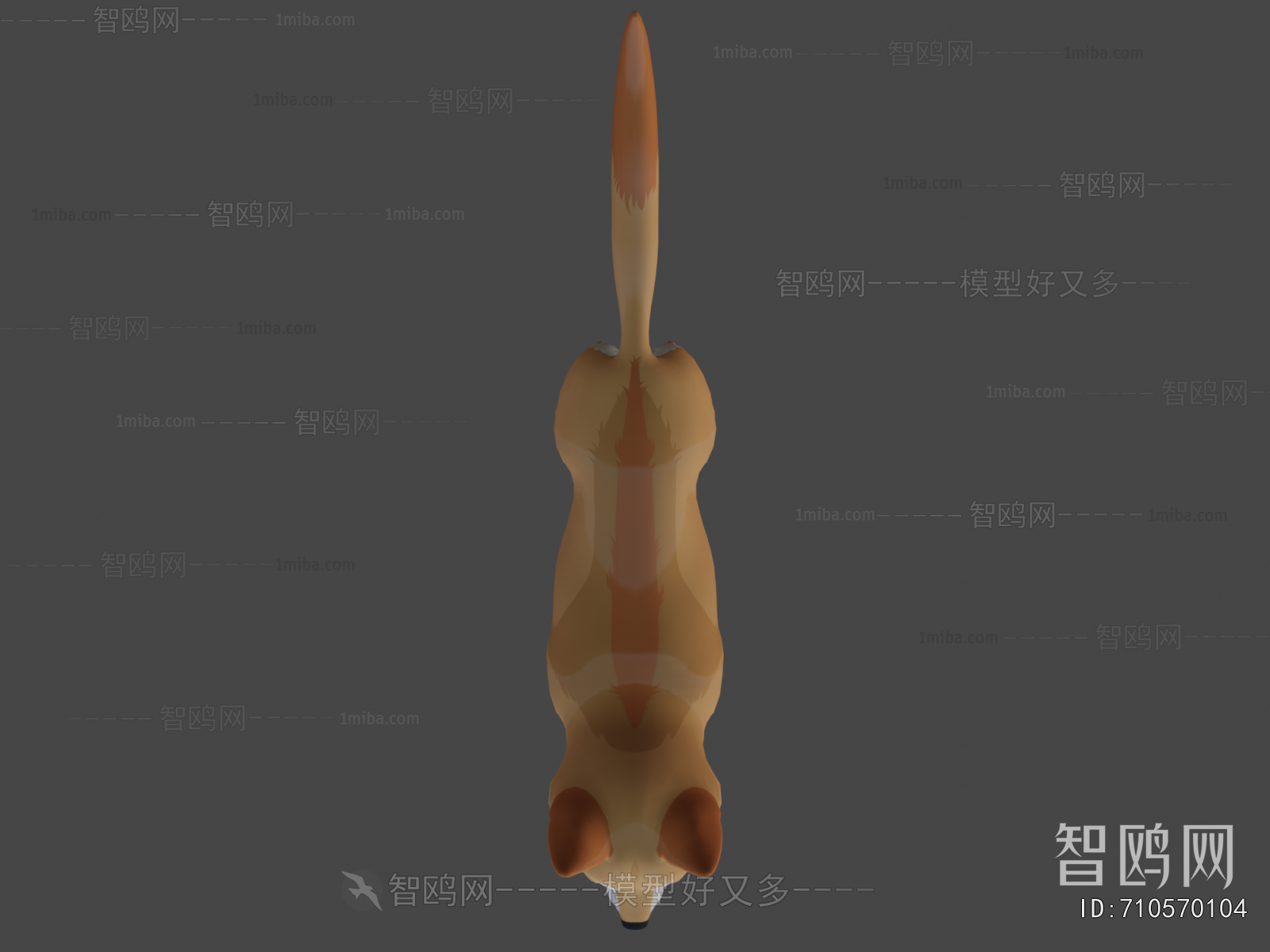 Modern Animal