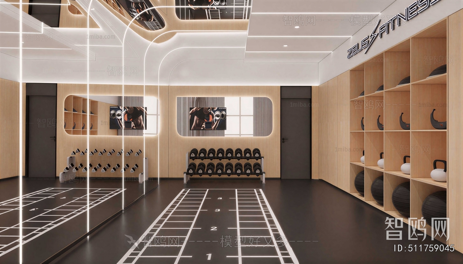 Modern Gym