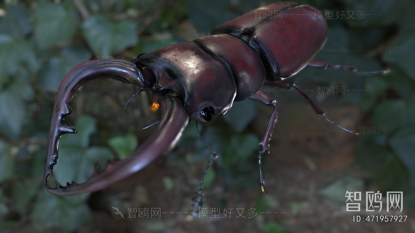 Modern Animal