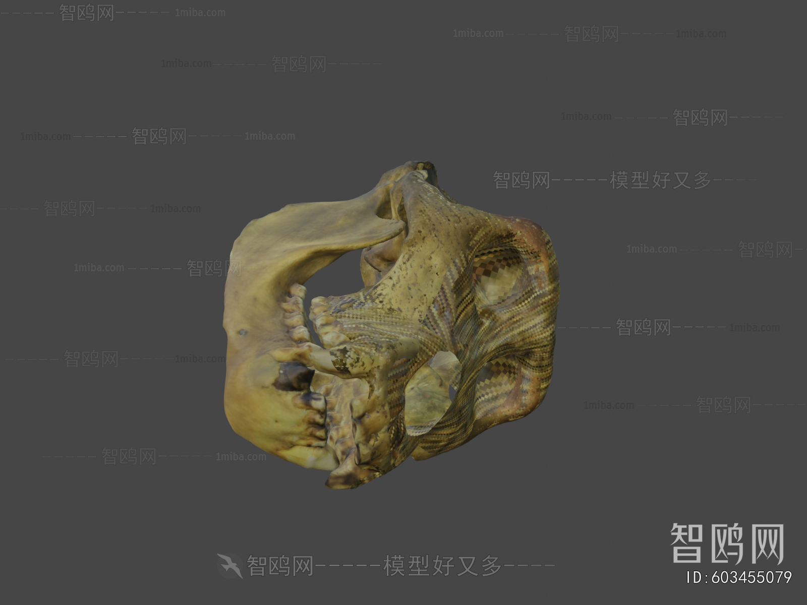 Modern Medical Equipment