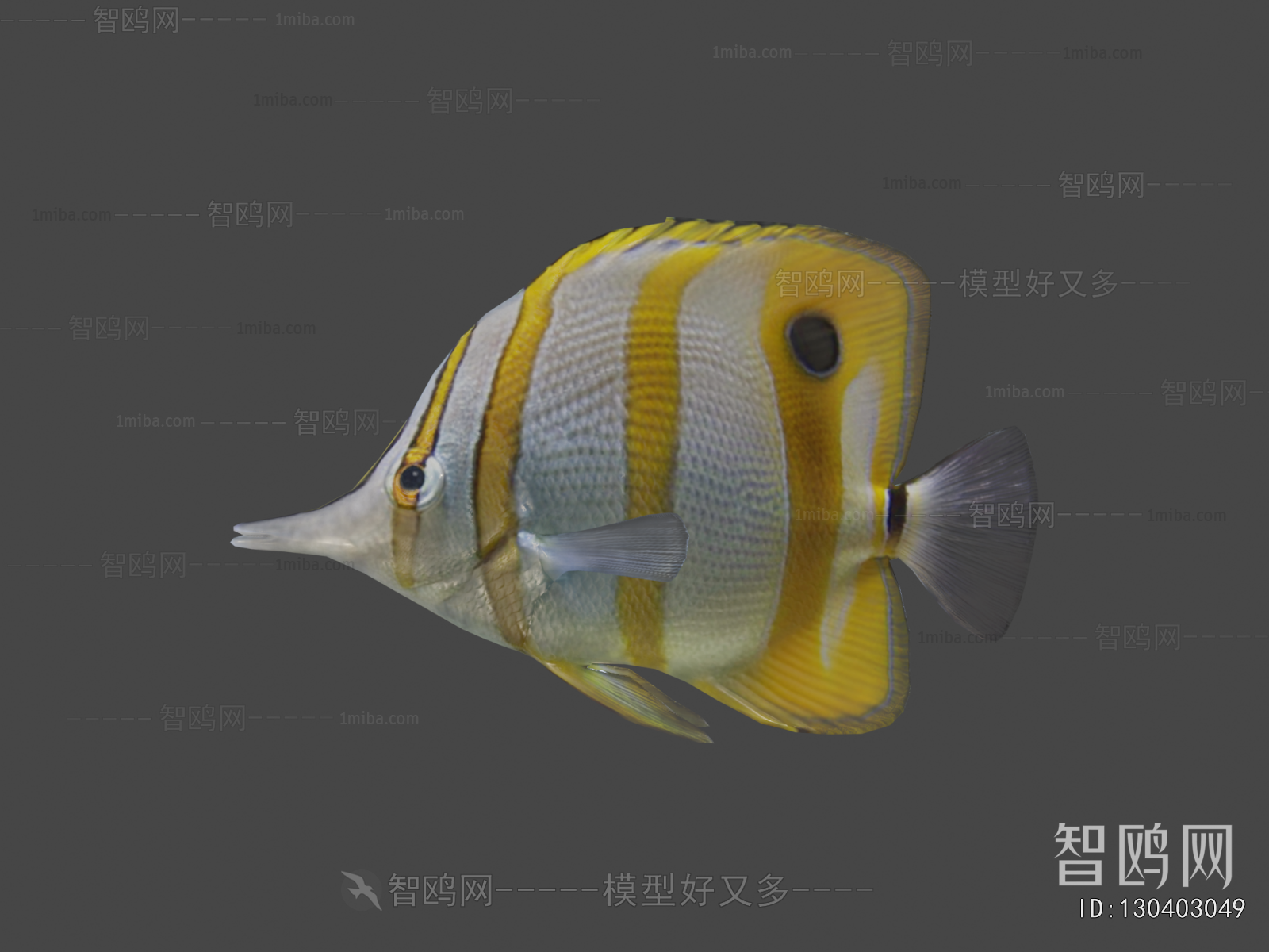 Modern Aquatic Animals