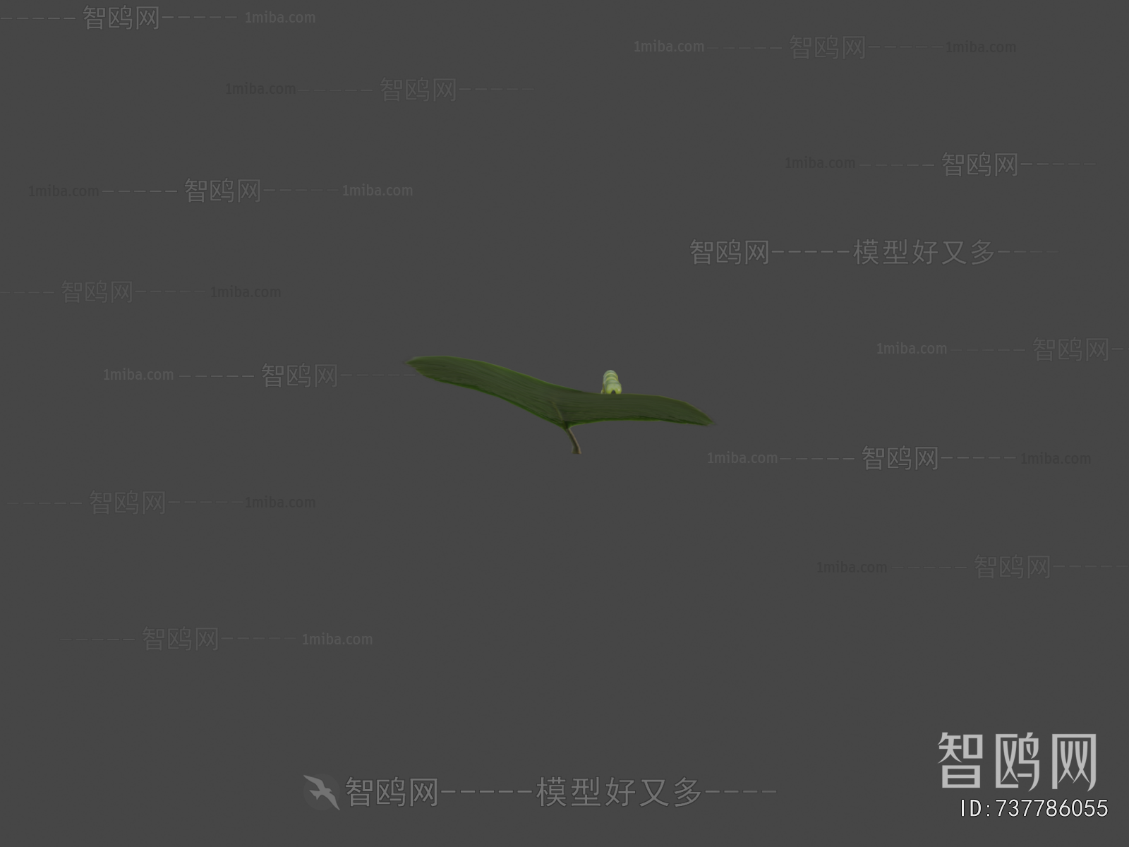 Modern Reptile