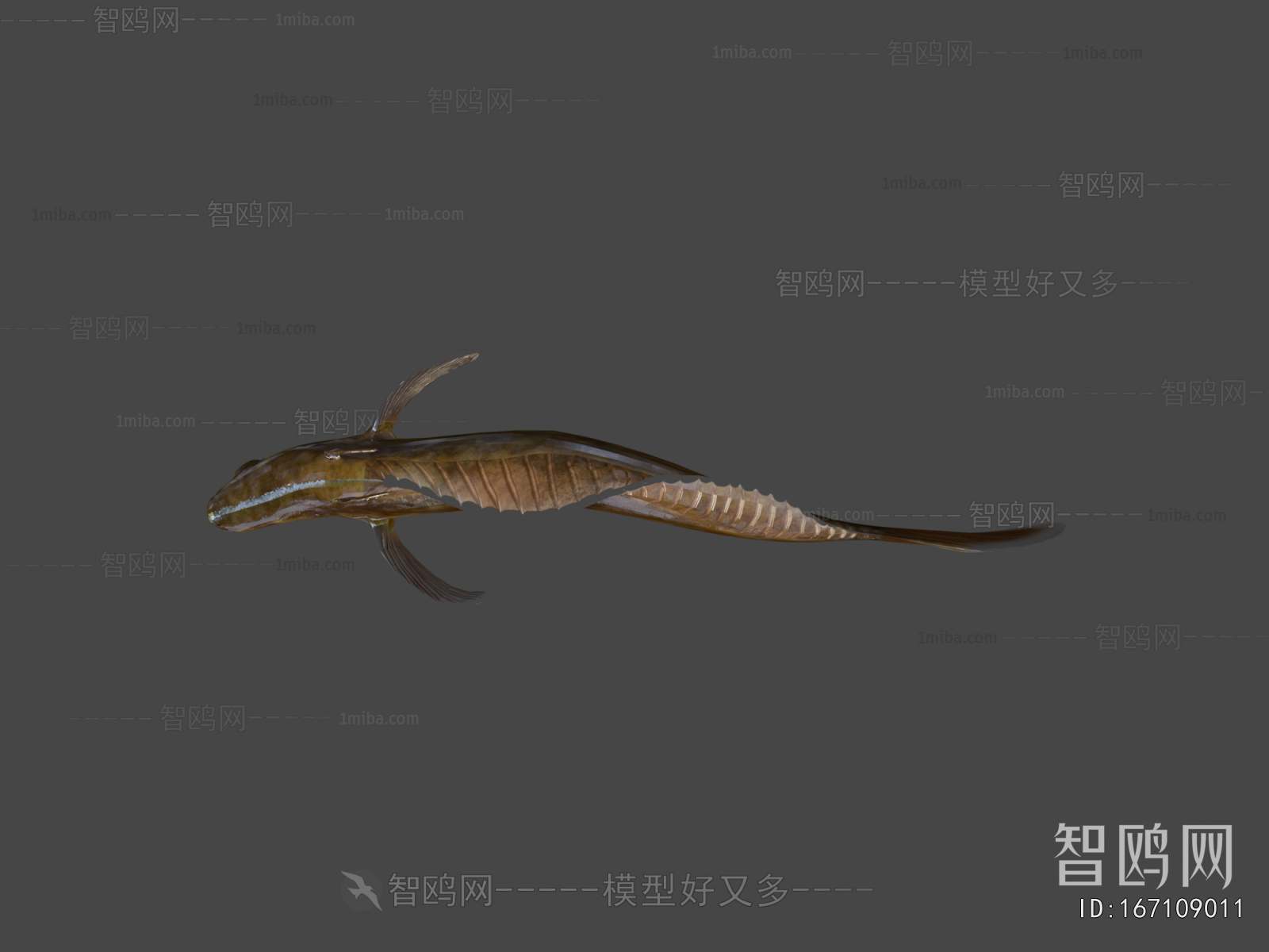 Modern Aquatic Animals