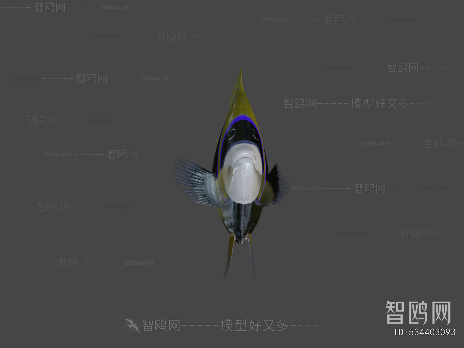 Modern Aquatic Animals