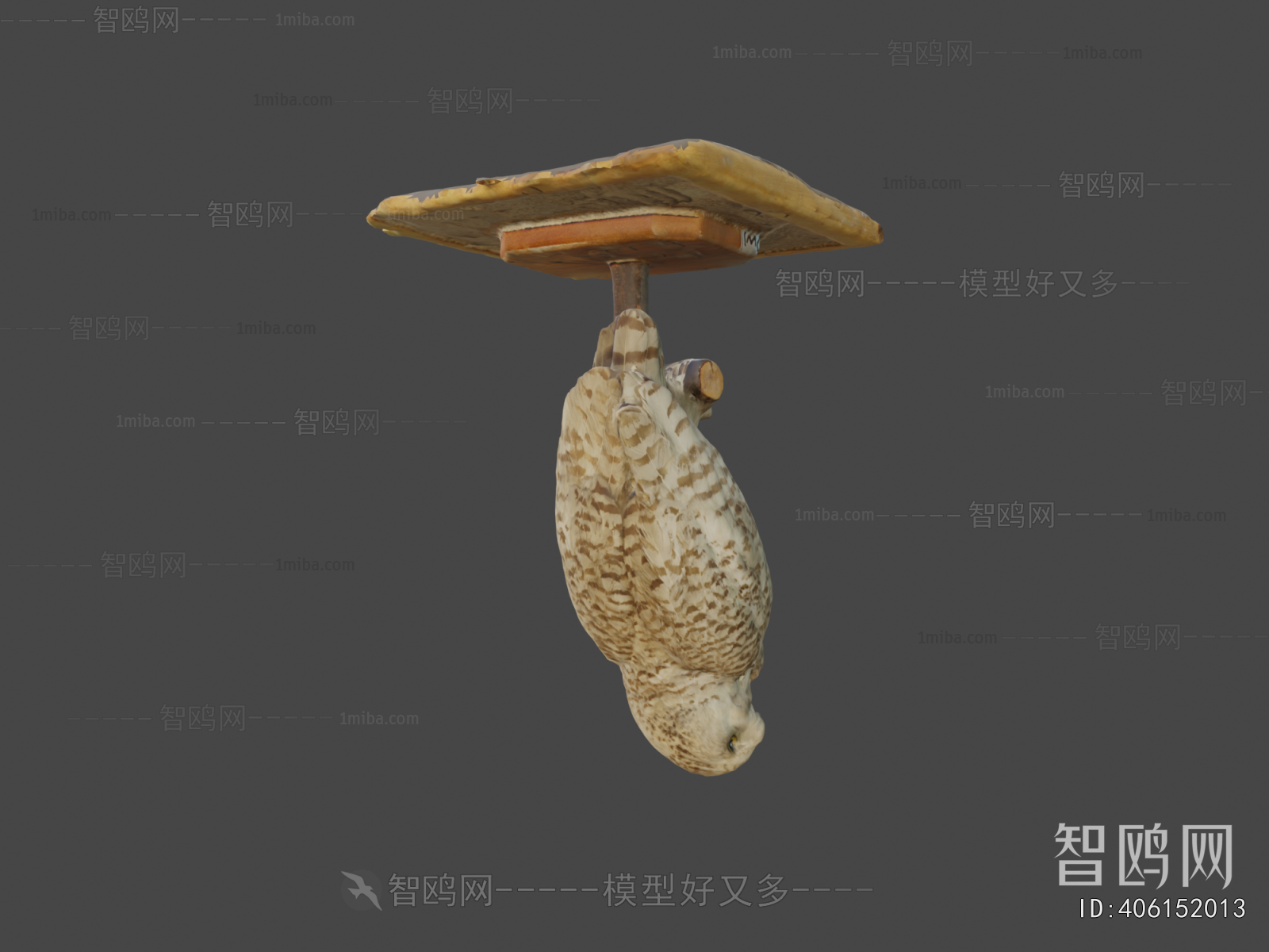 Modern Flying Animals
