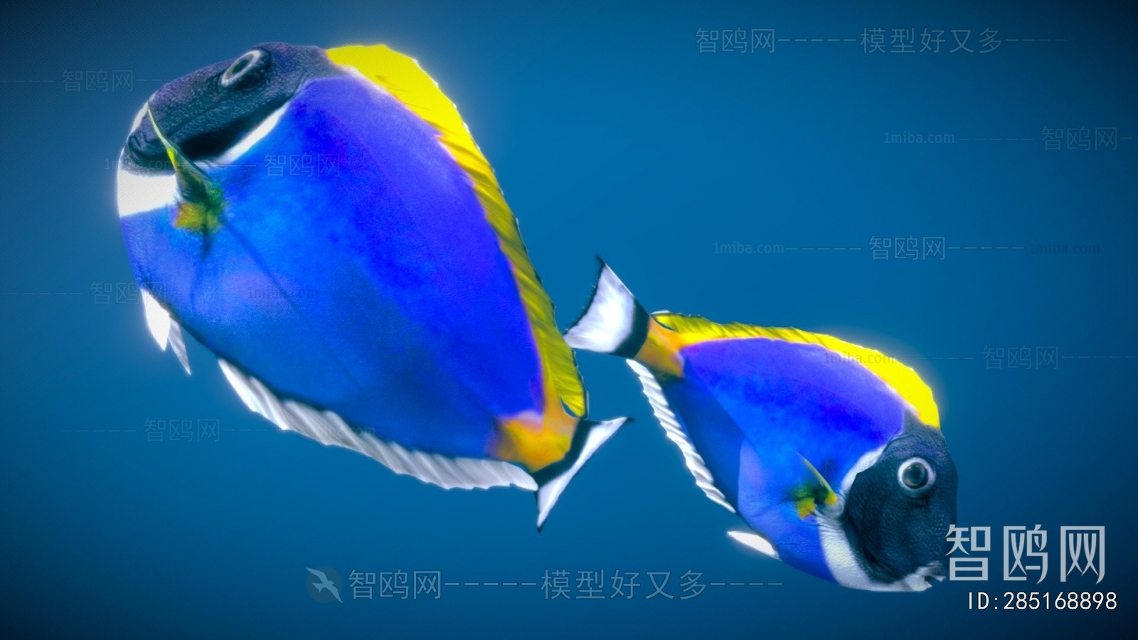 Modern Aquatic Animals