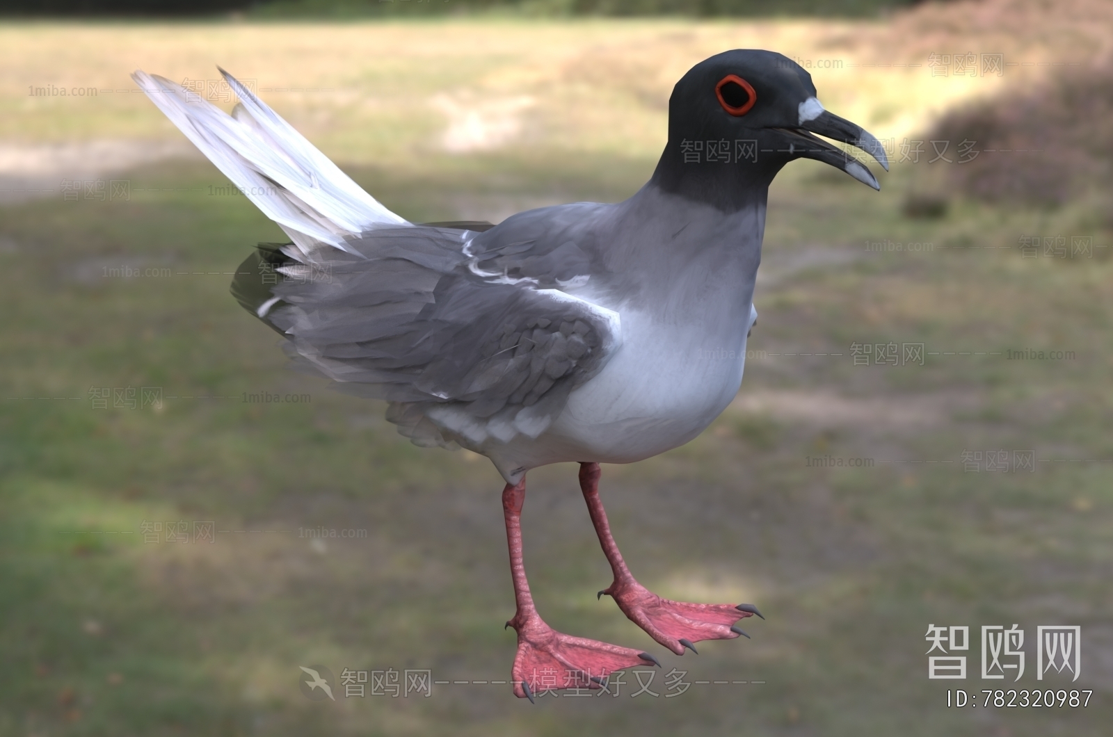 Modern Flying Animals