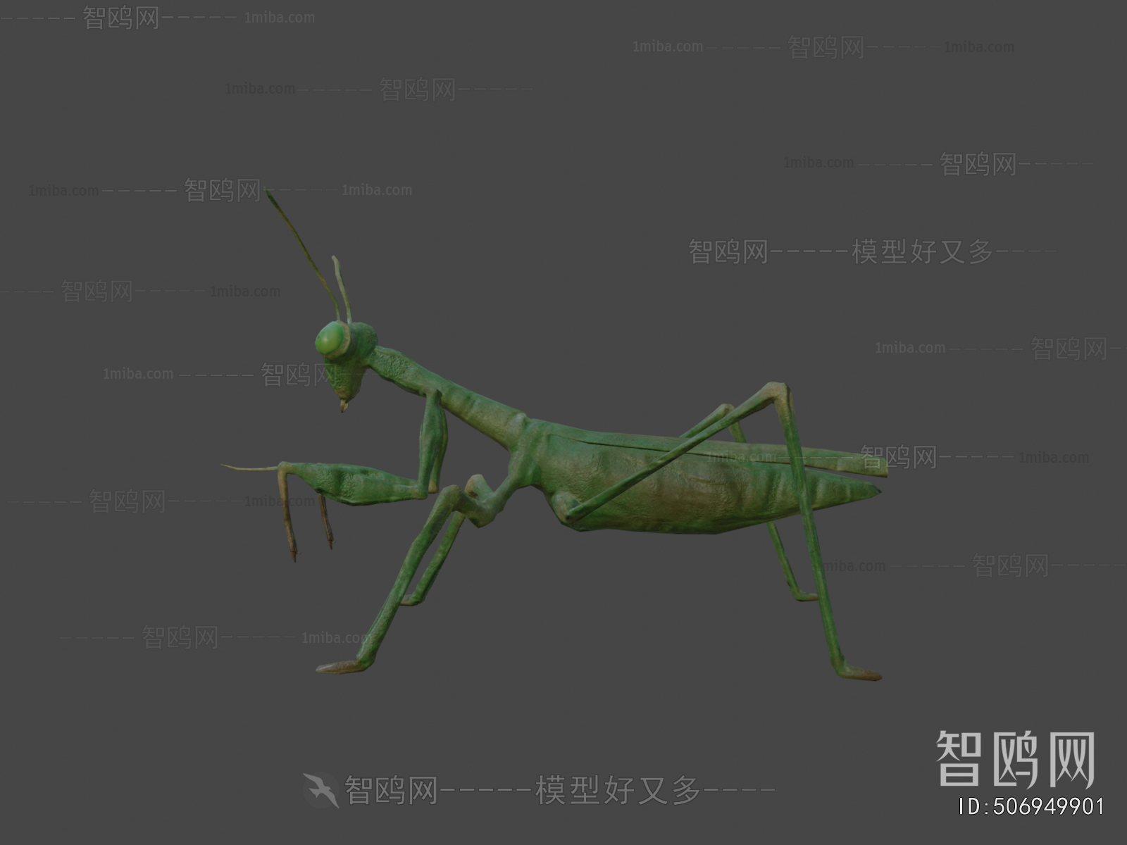 Modern Other Animals