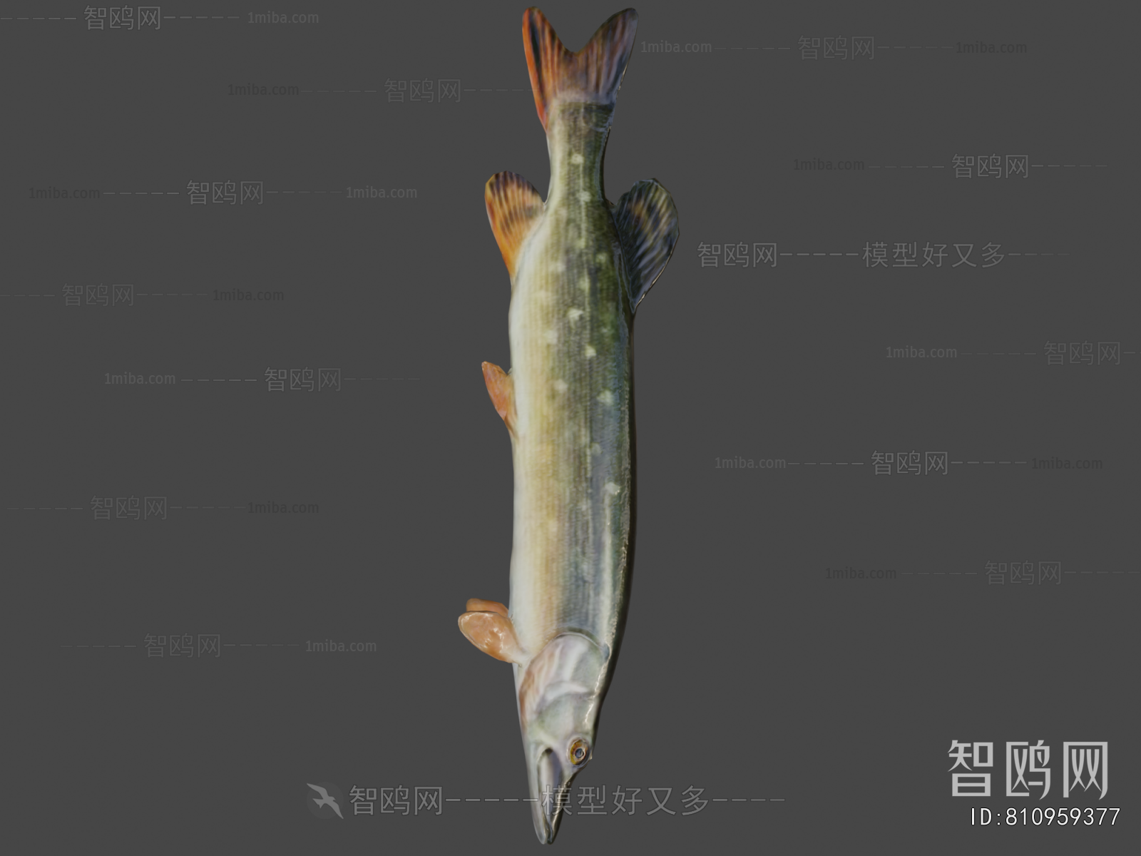 Modern Aquatic Product