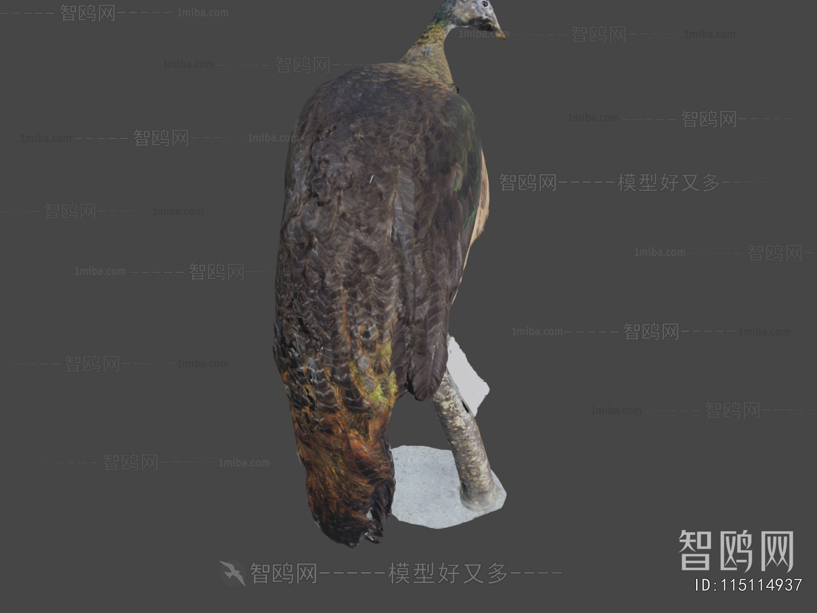 Modern Flying Animals