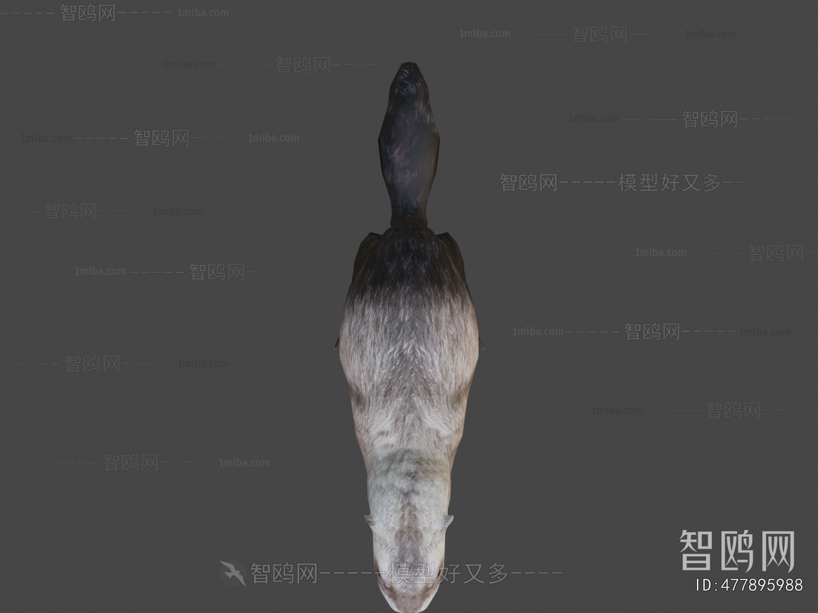 Modern Animal