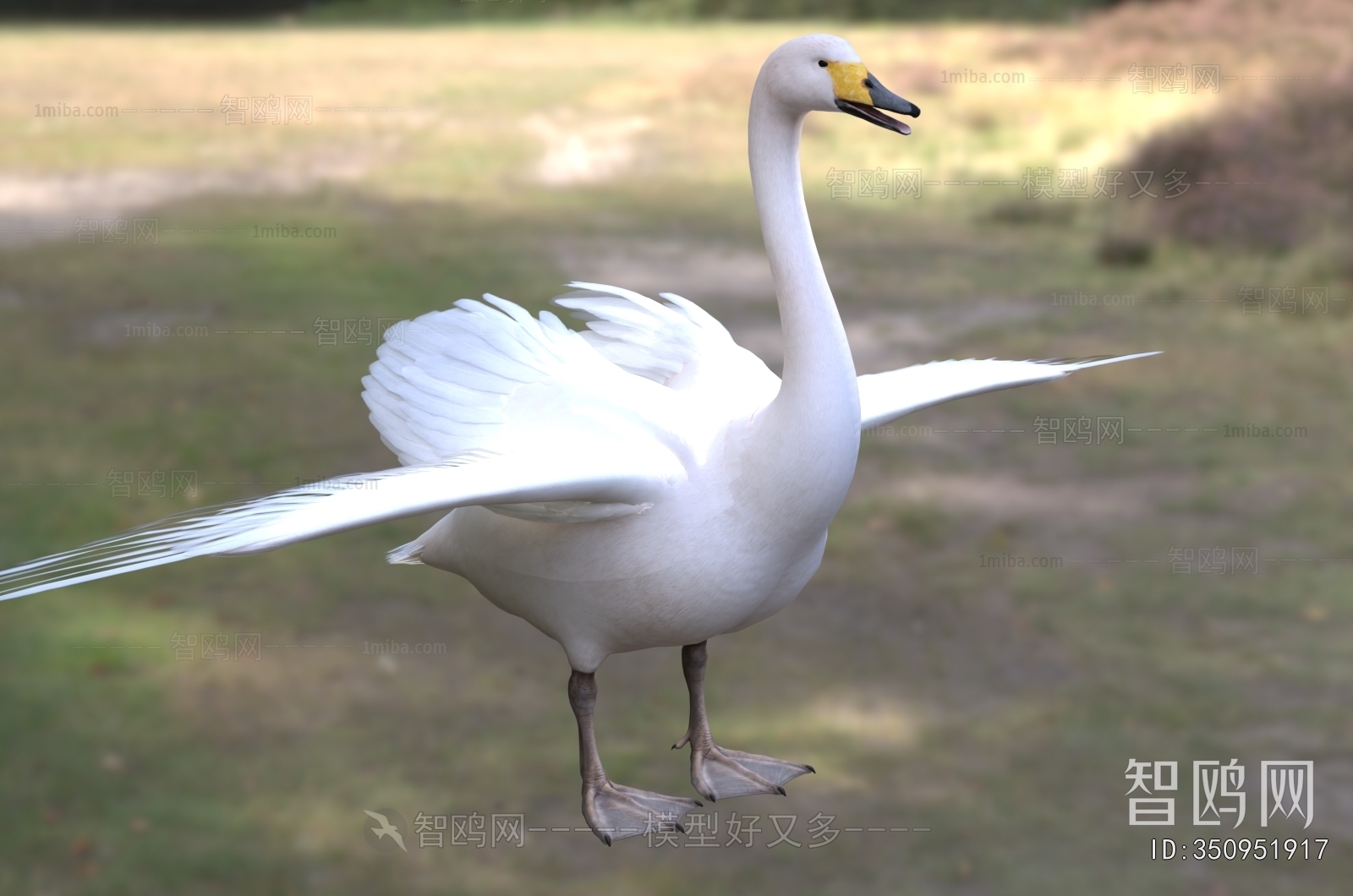 Modern Flying Animals