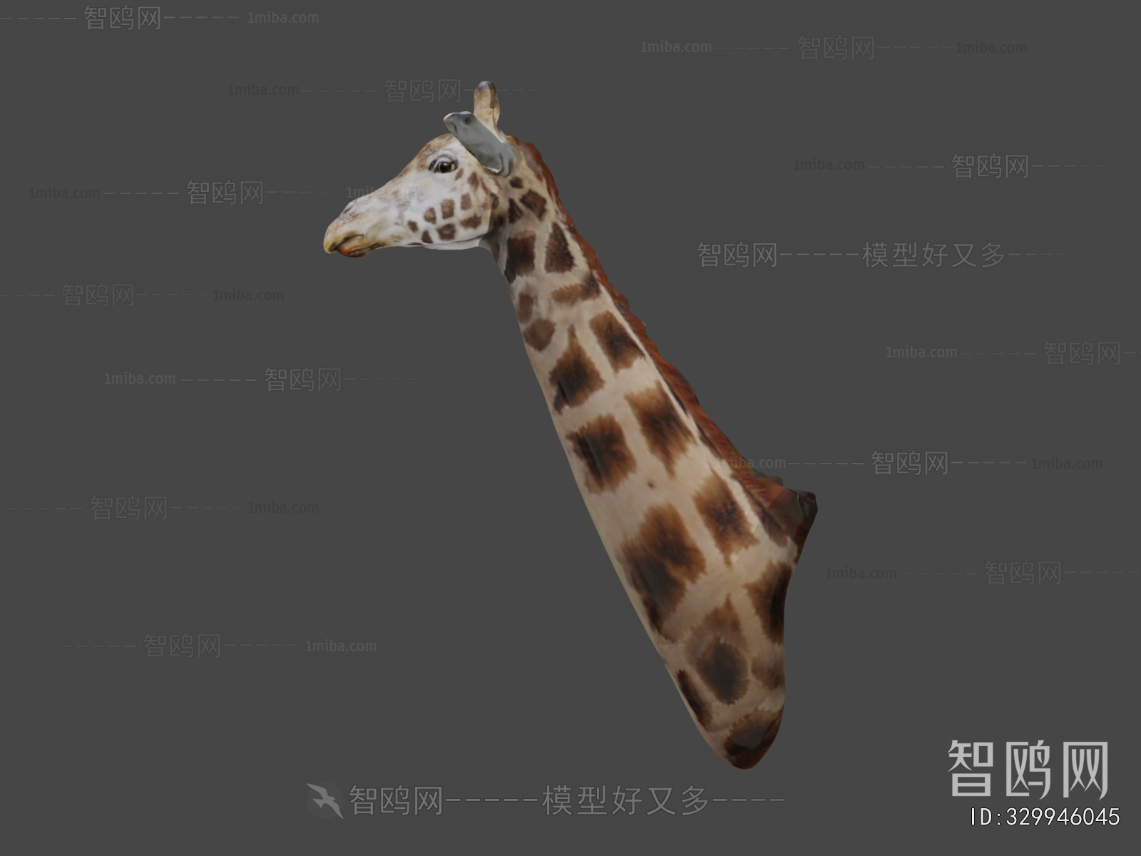 Modern Animal