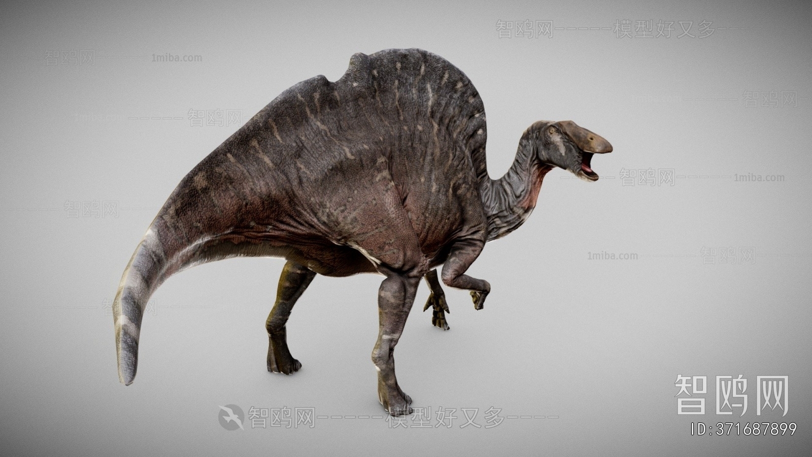 Modern Other Animals