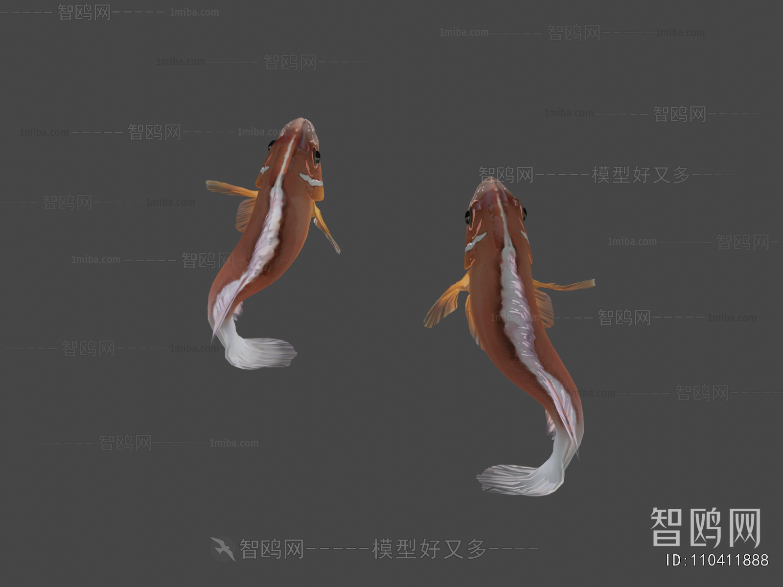 Modern Aquatic Animals