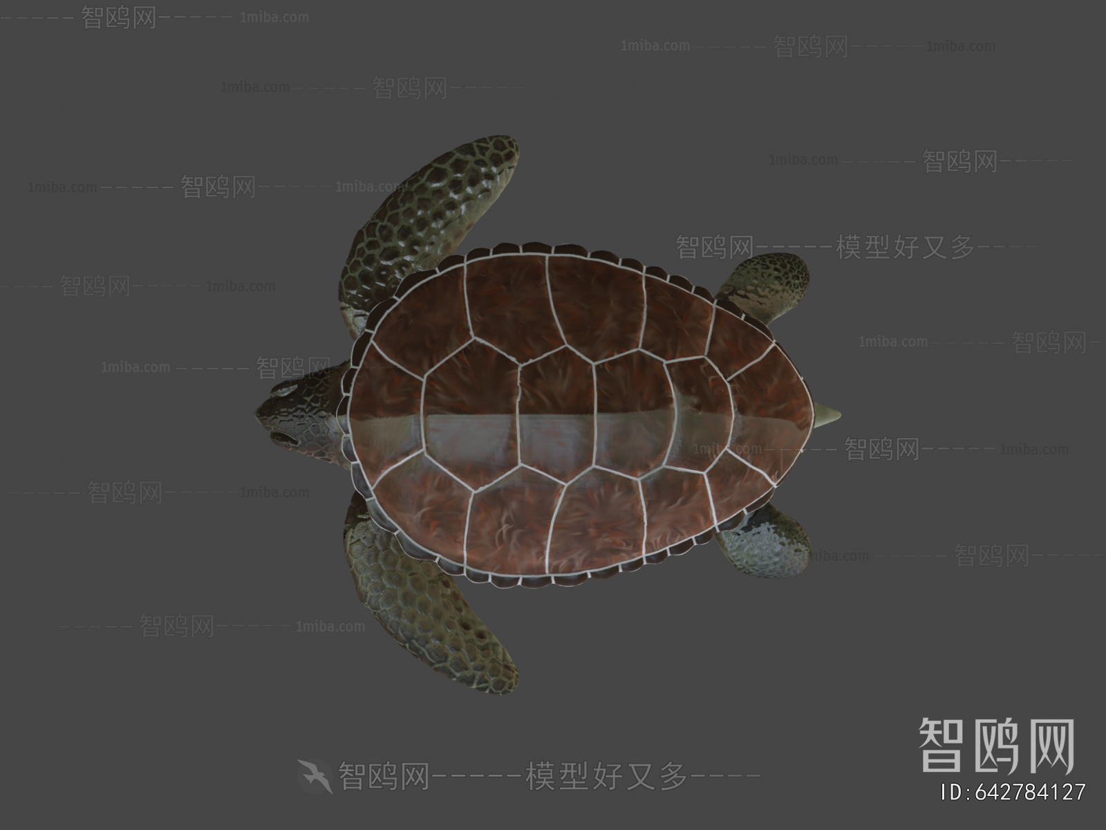 Modern Aquatic Animals