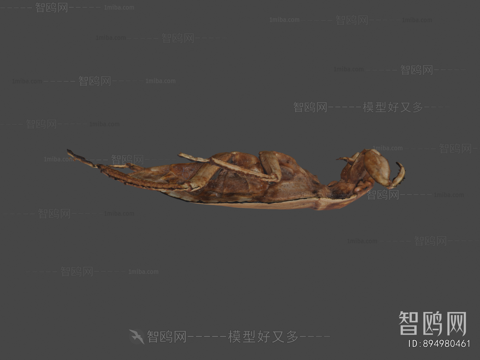Modern Animal