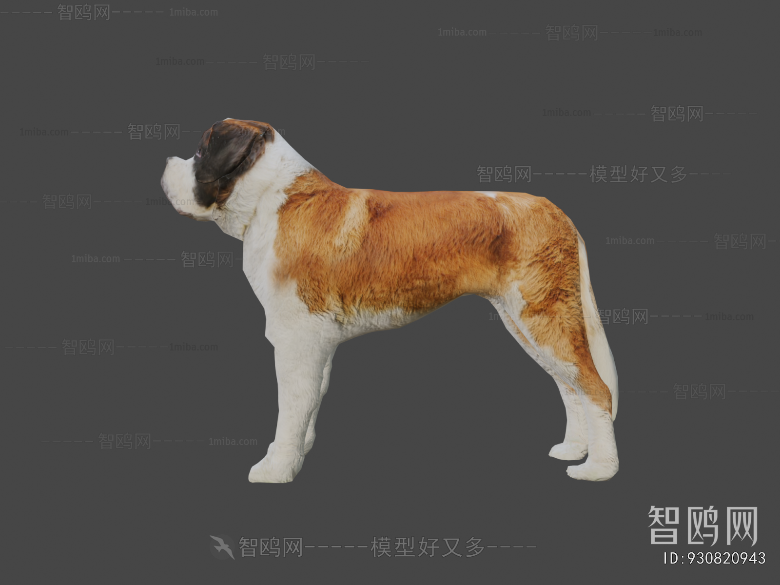 Modern Animal