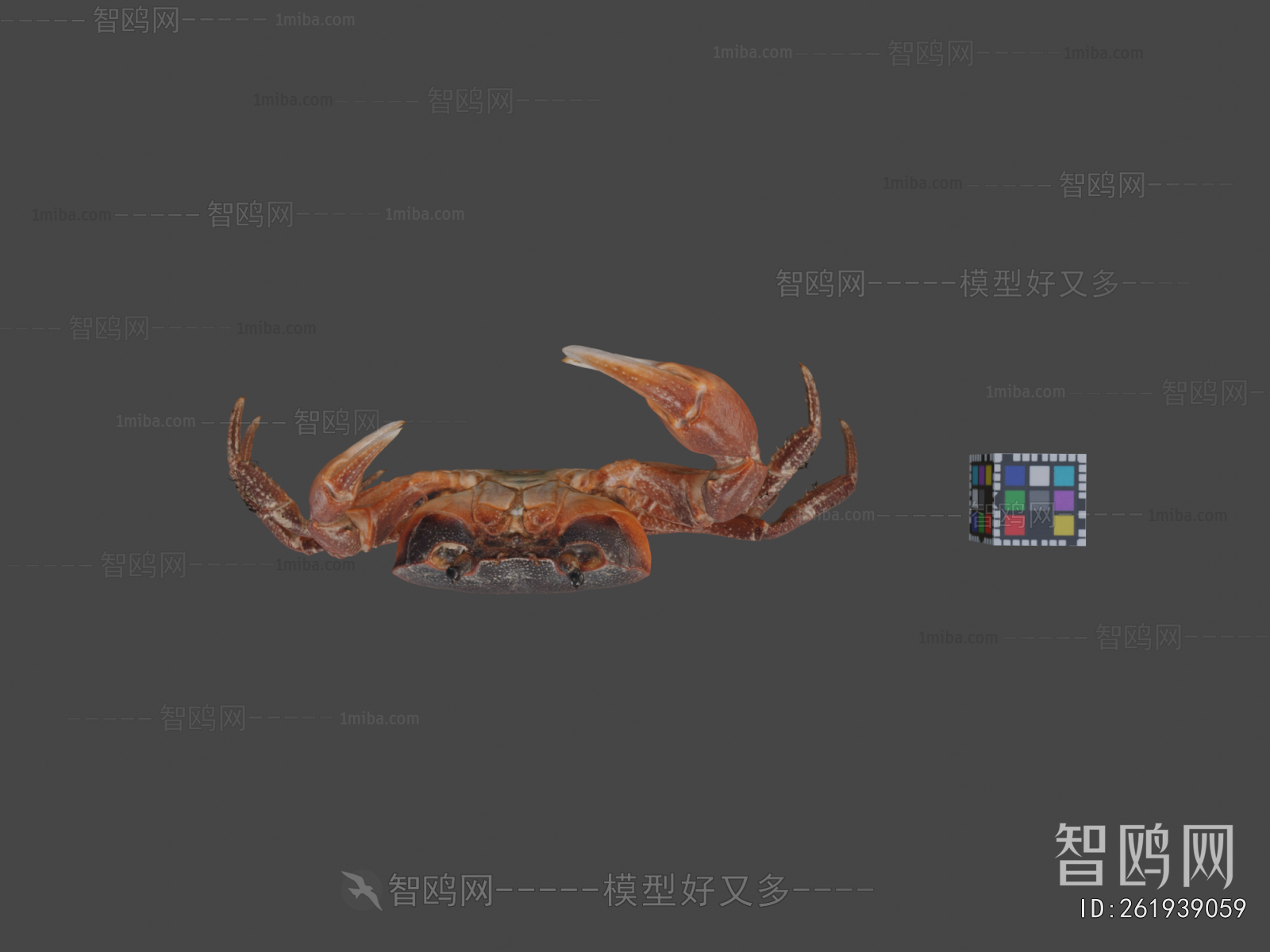 Modern Aquatic Animals