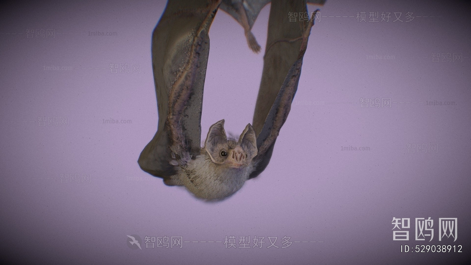 Modern Flying Animals